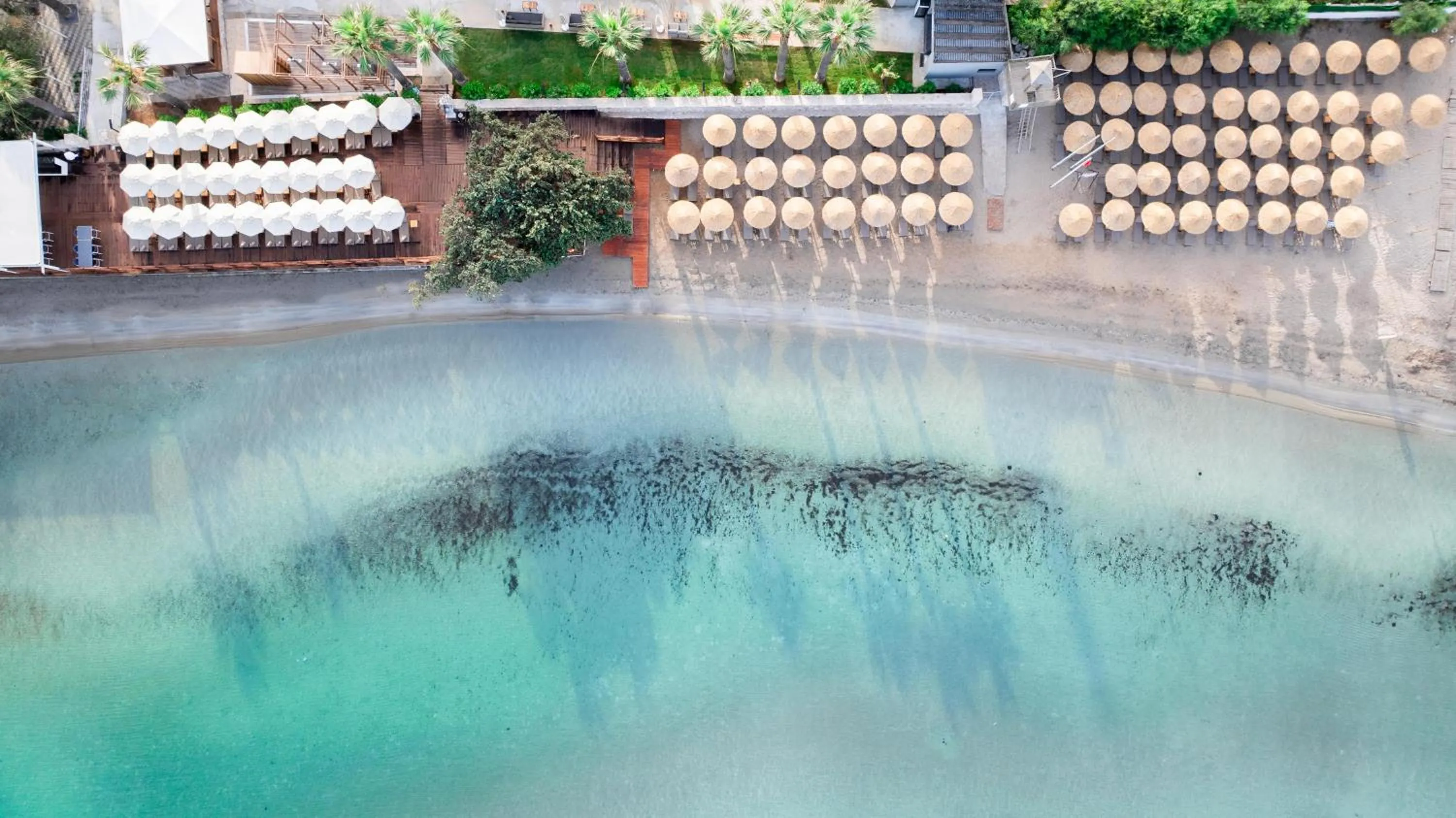 Swimming pool in Prive Hotel Didim - Ultra All Inclusive