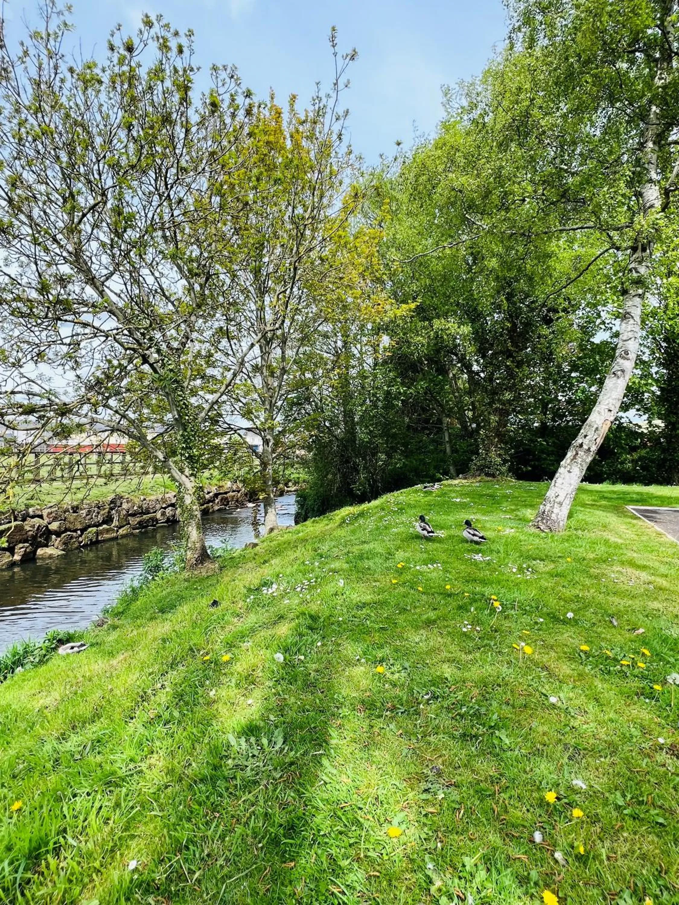 Garden in Tiverton Hotel Lounge & Venue