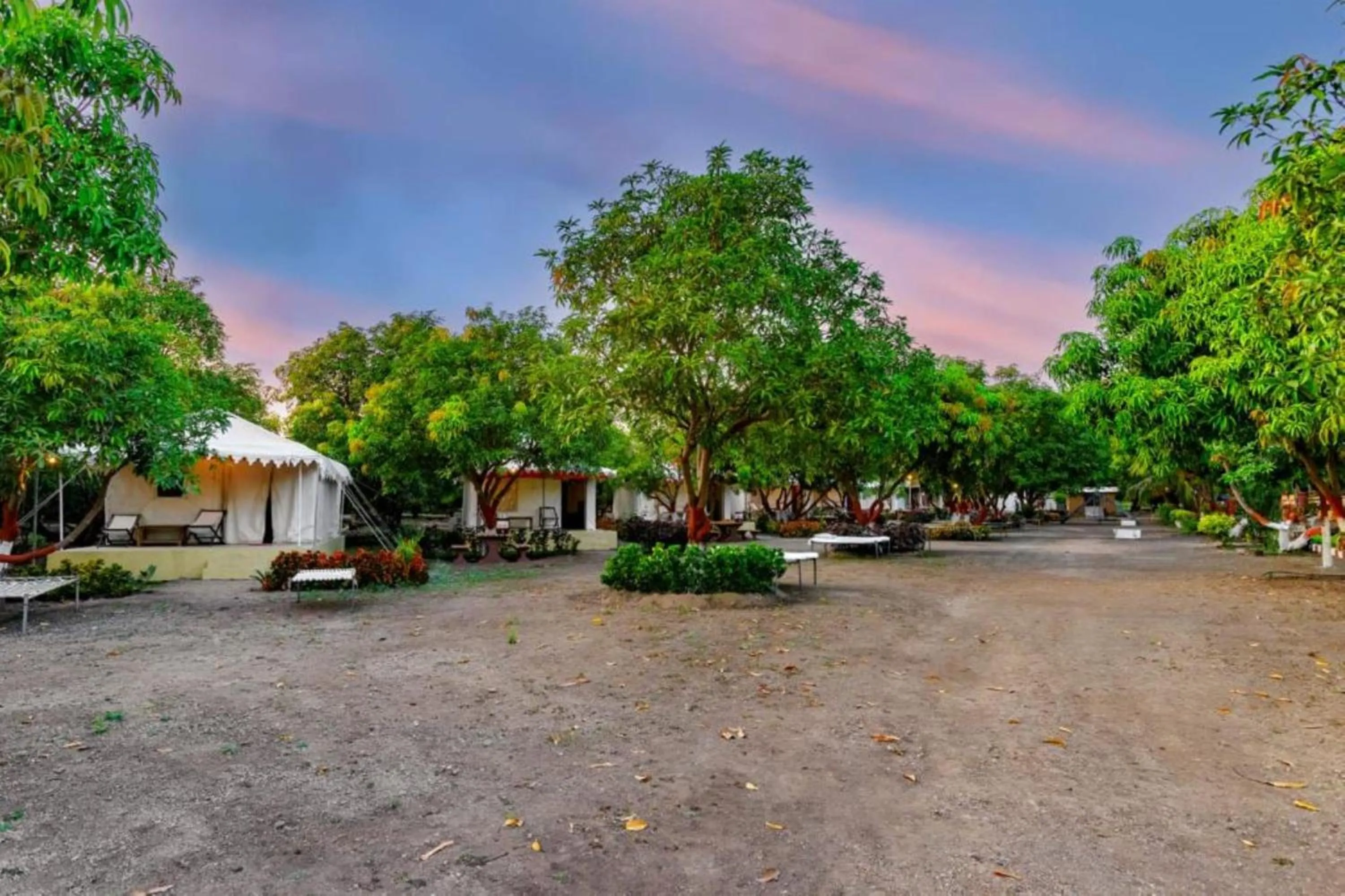 Natural landscape in Amber Resort