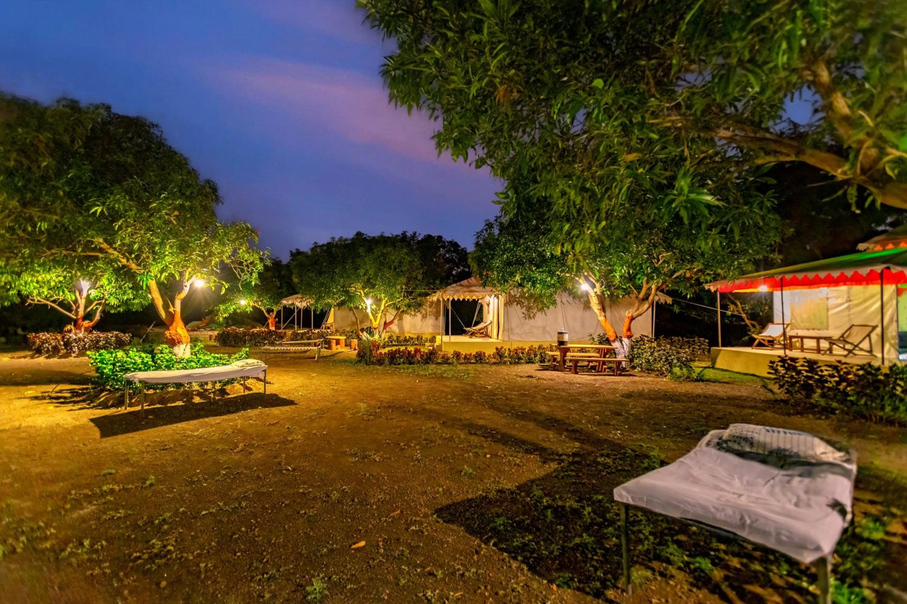 Garden in Amber Resort