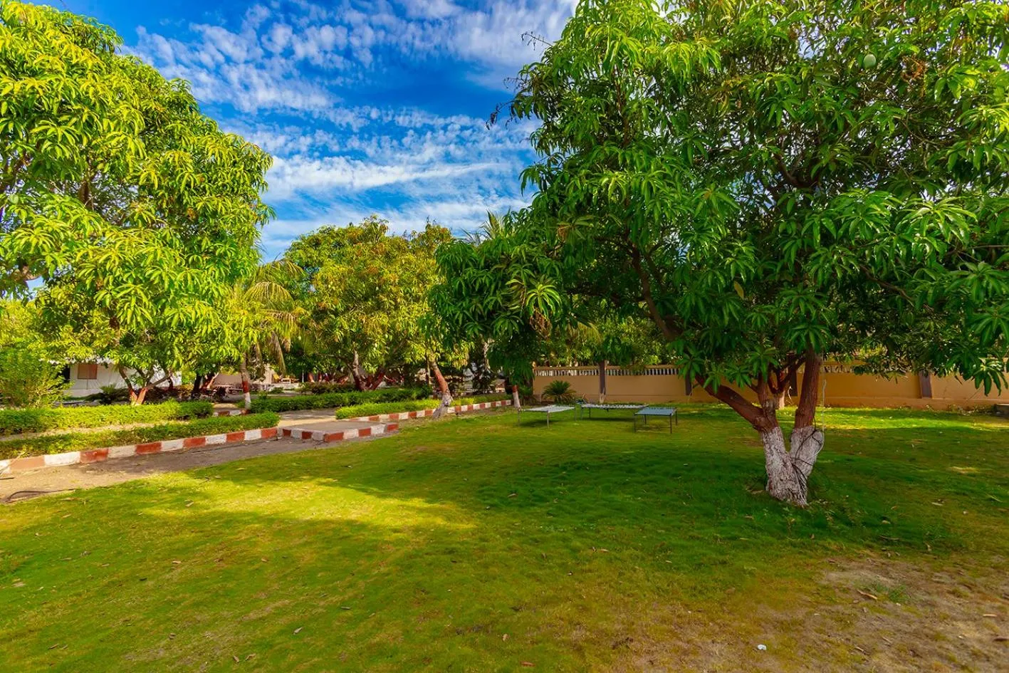 Garden view in Amber Resort