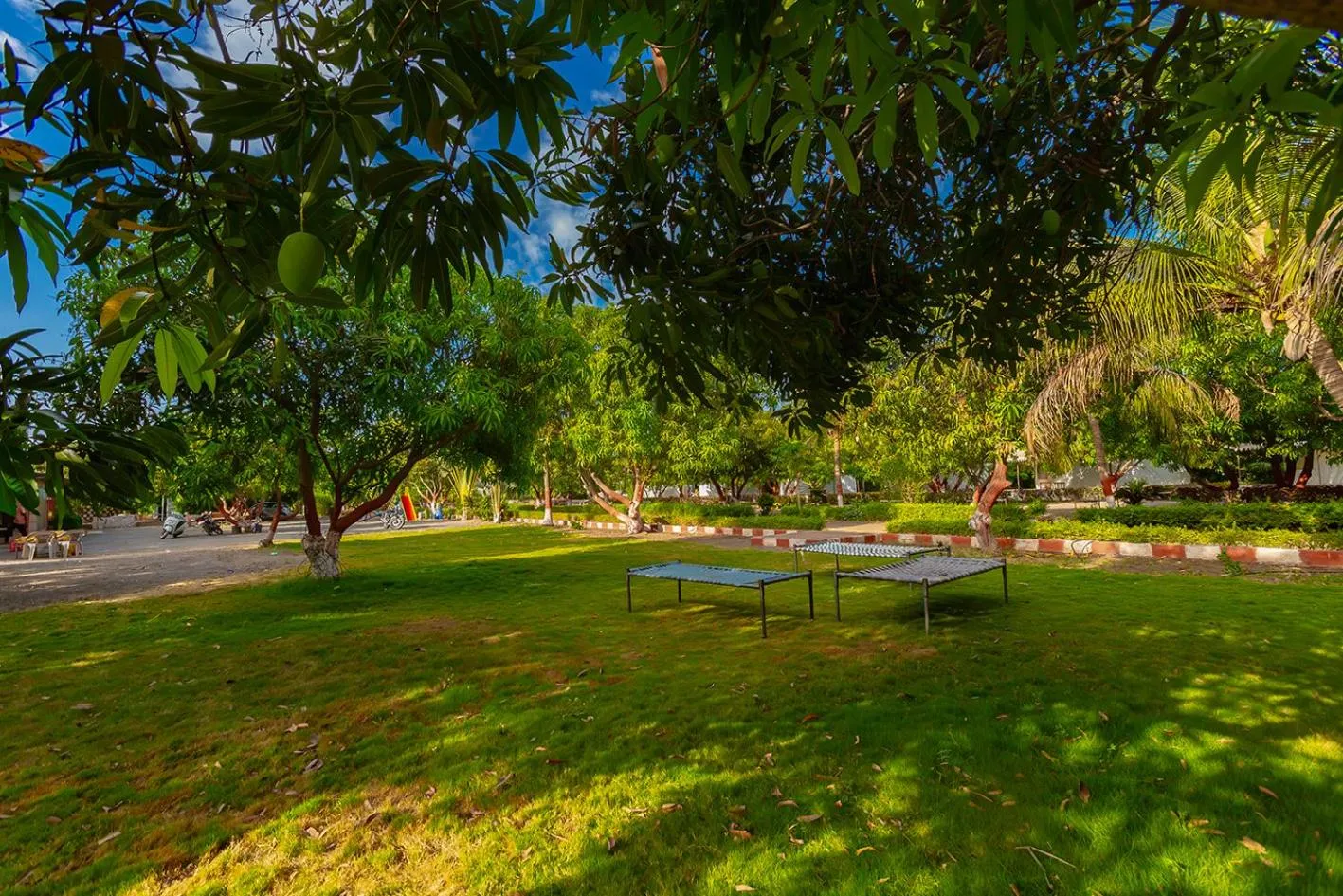 Garden in Amber Resort