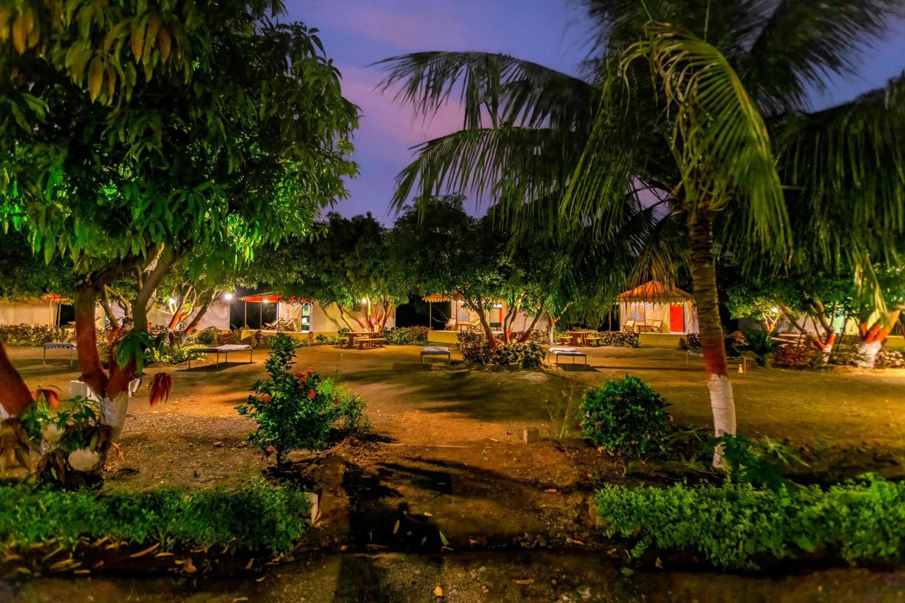 Night in Amber Resort