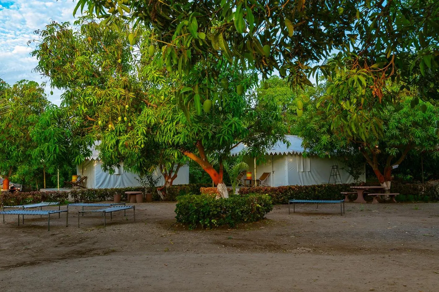 Spring in Amber Resort