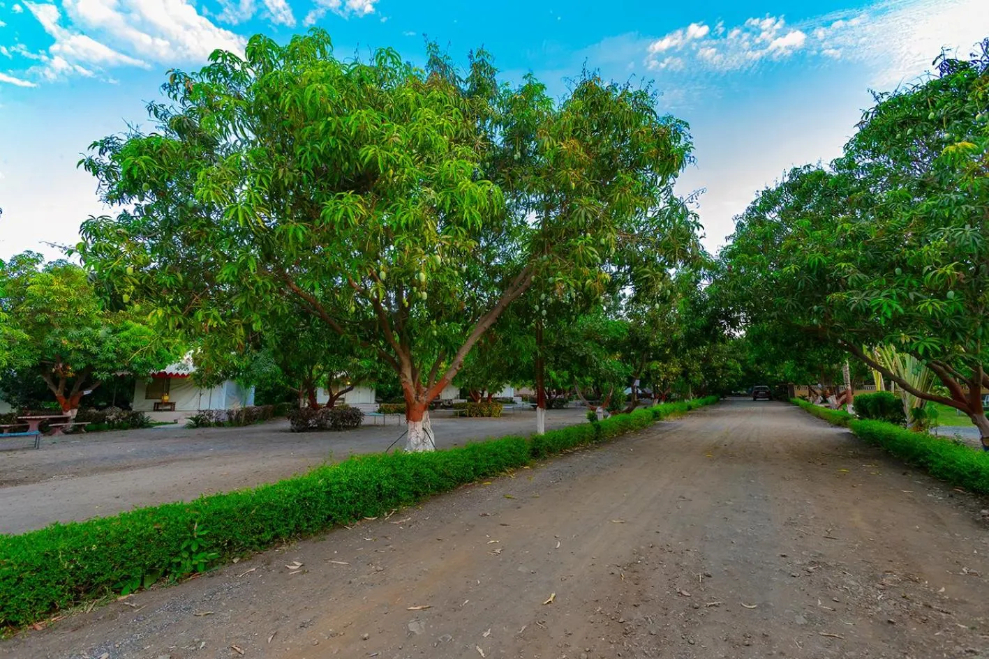 Neighbourhood in Amber Resort