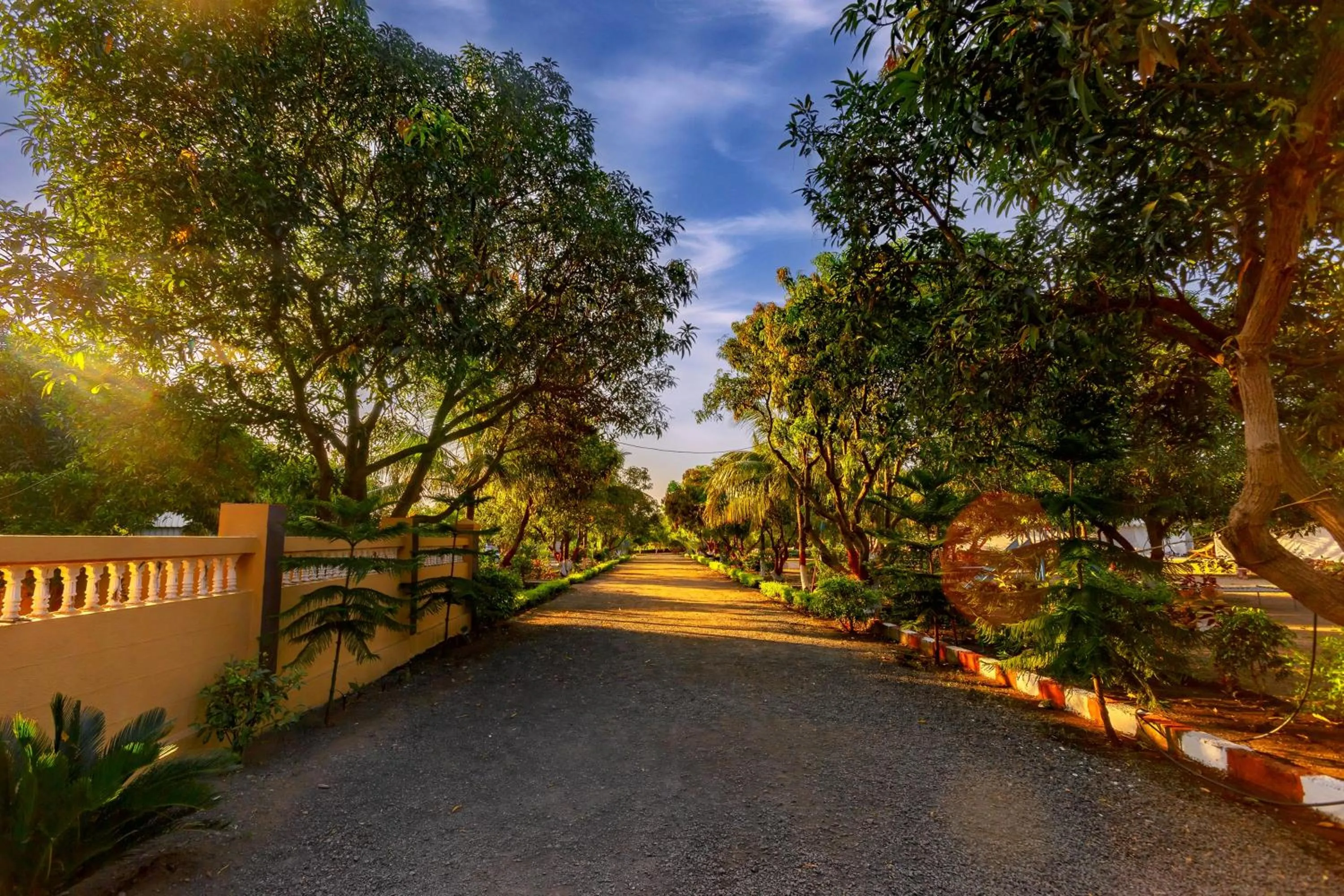 Garden in Amber Resort