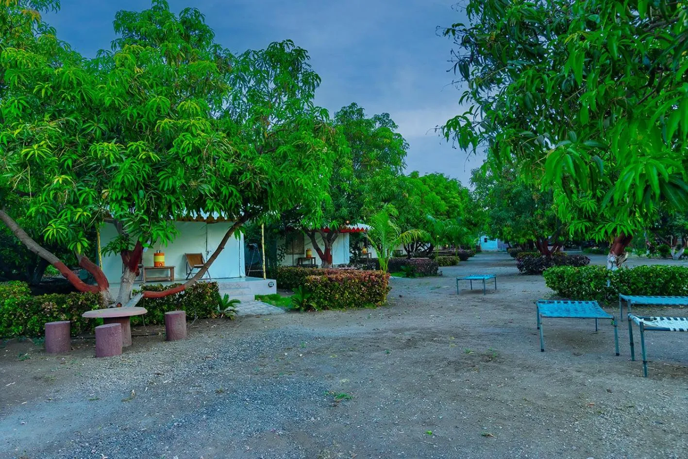 Spring in Amber Resort