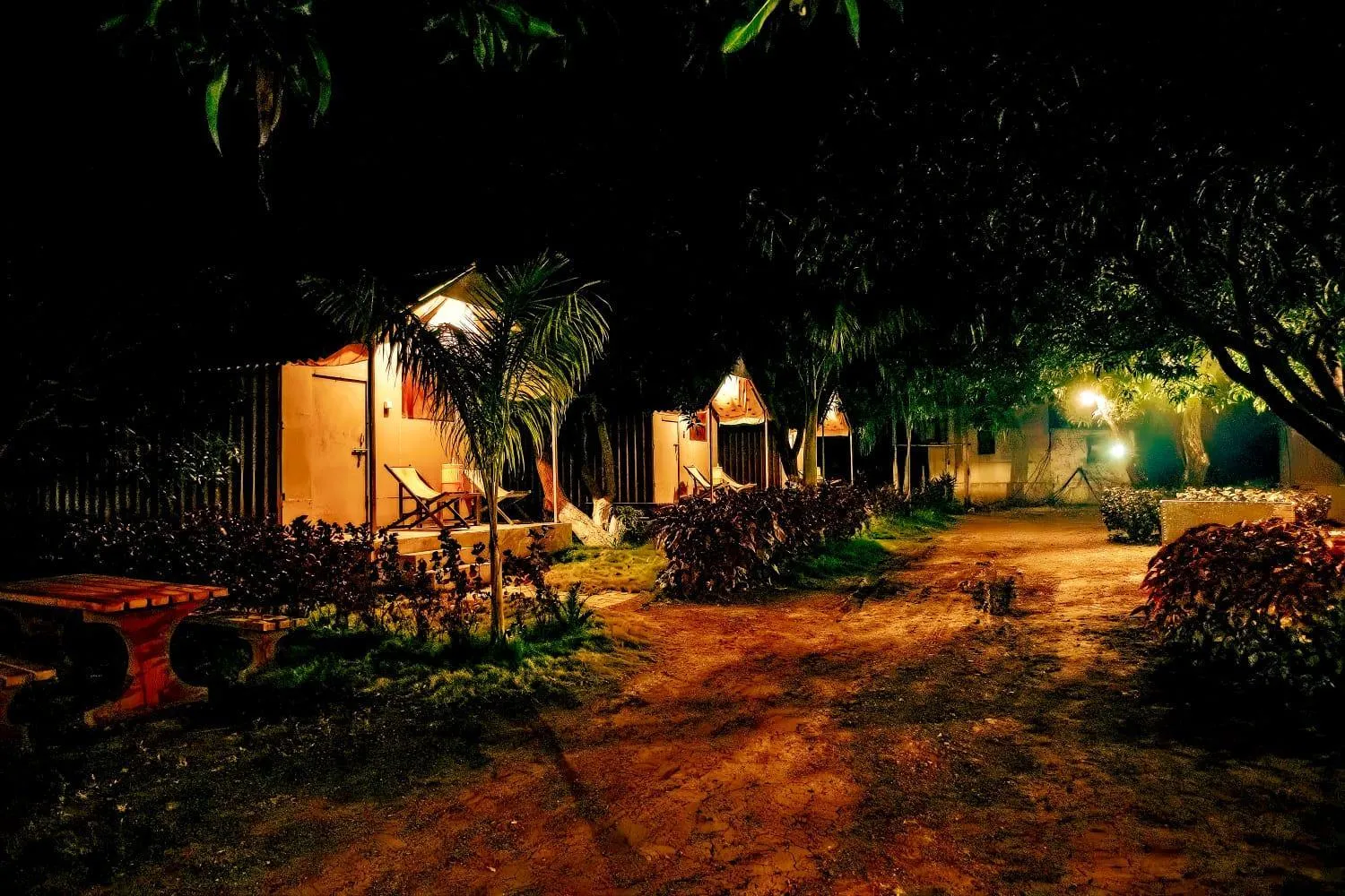 Garden in Amber Resort