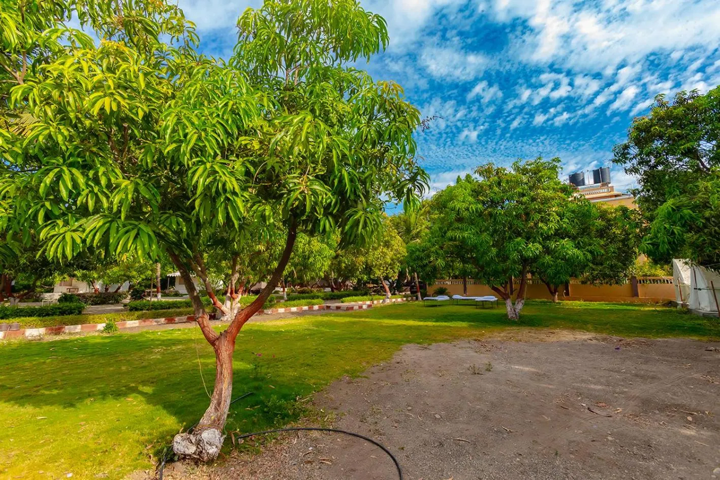 Spring in Amber Resort