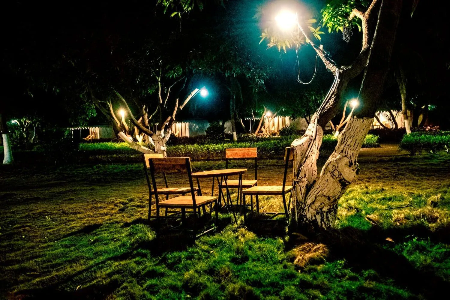 Garden view in Amber Resort