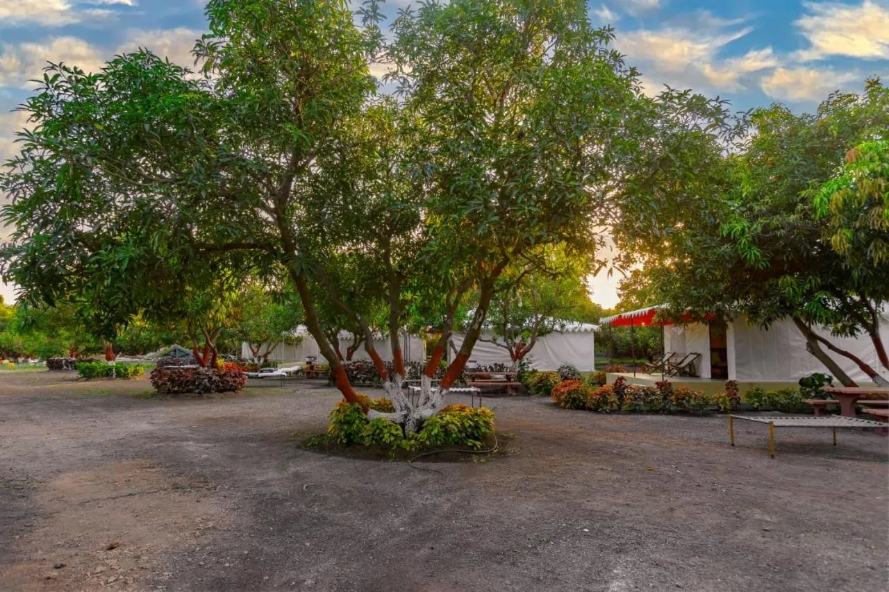 Spring in Amber Resort