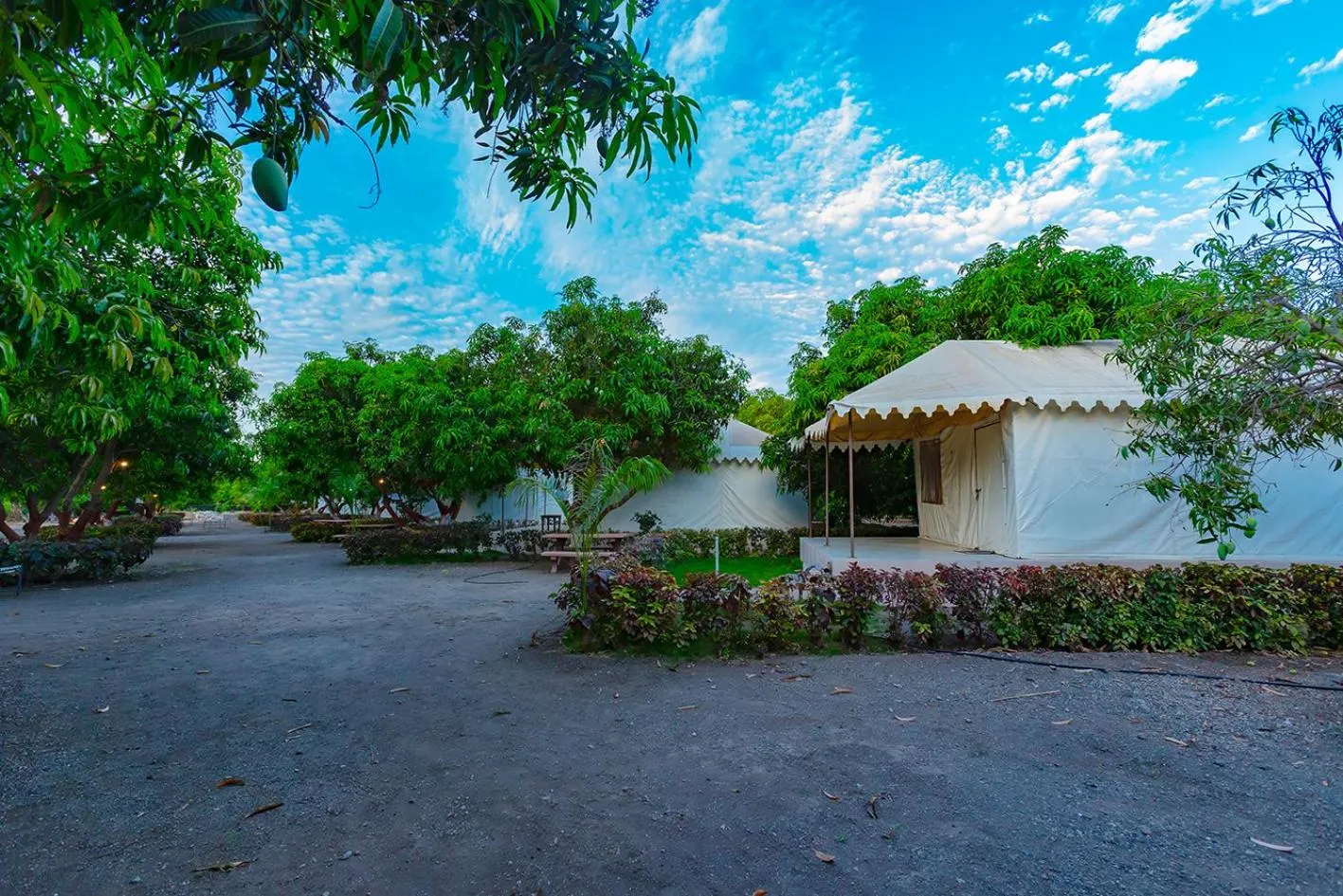 Spring in Amber Resort