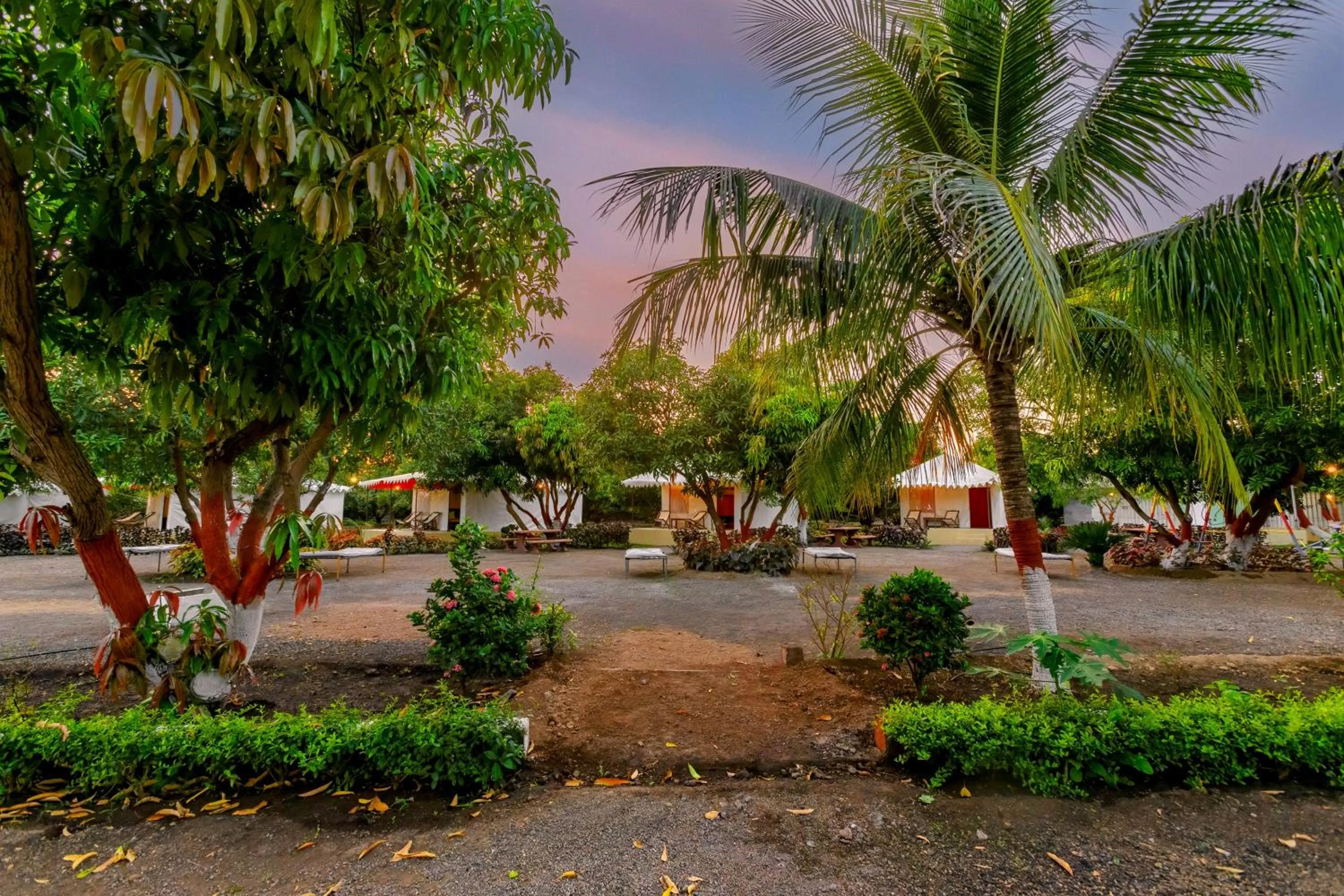 Natural landscape in Amber Resort