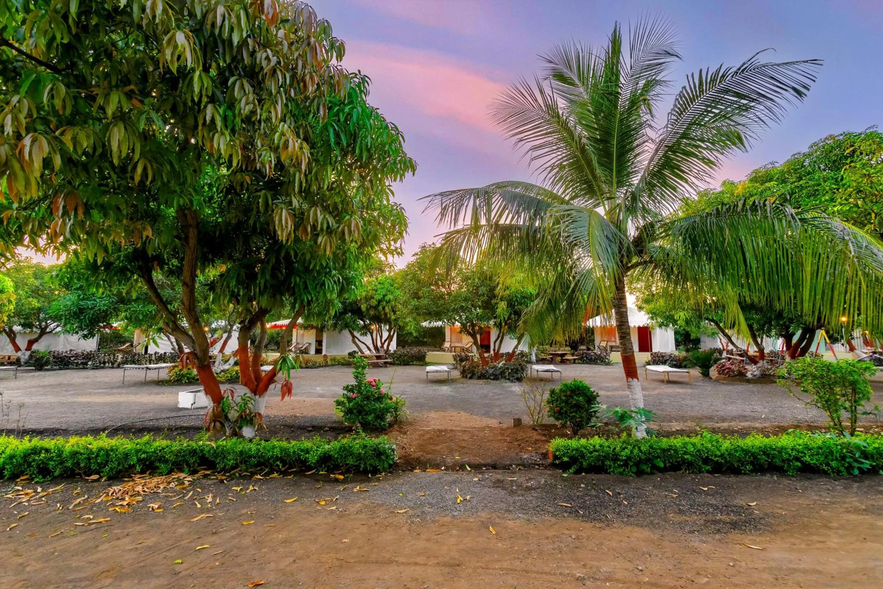 Spring in Amber Resort