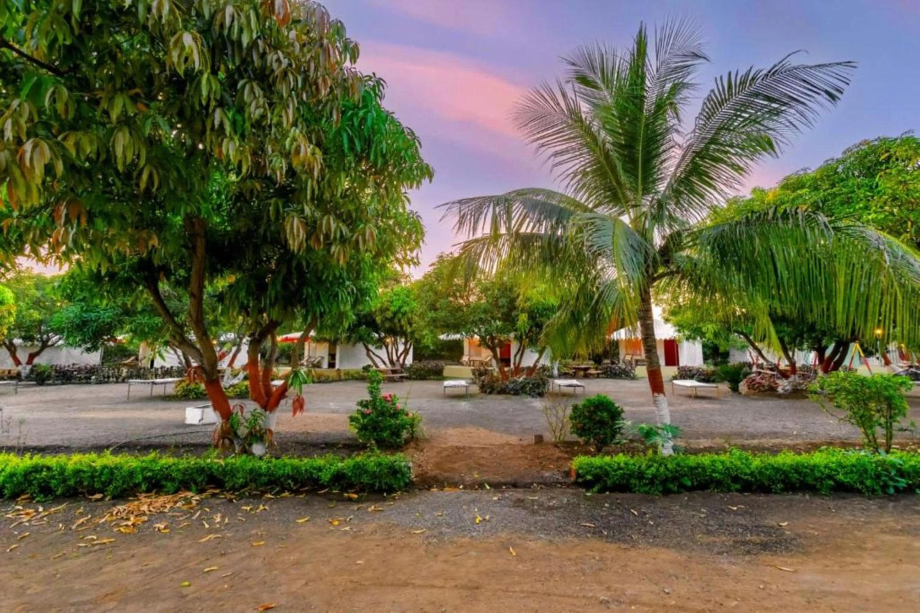 Spring in Amber Resort