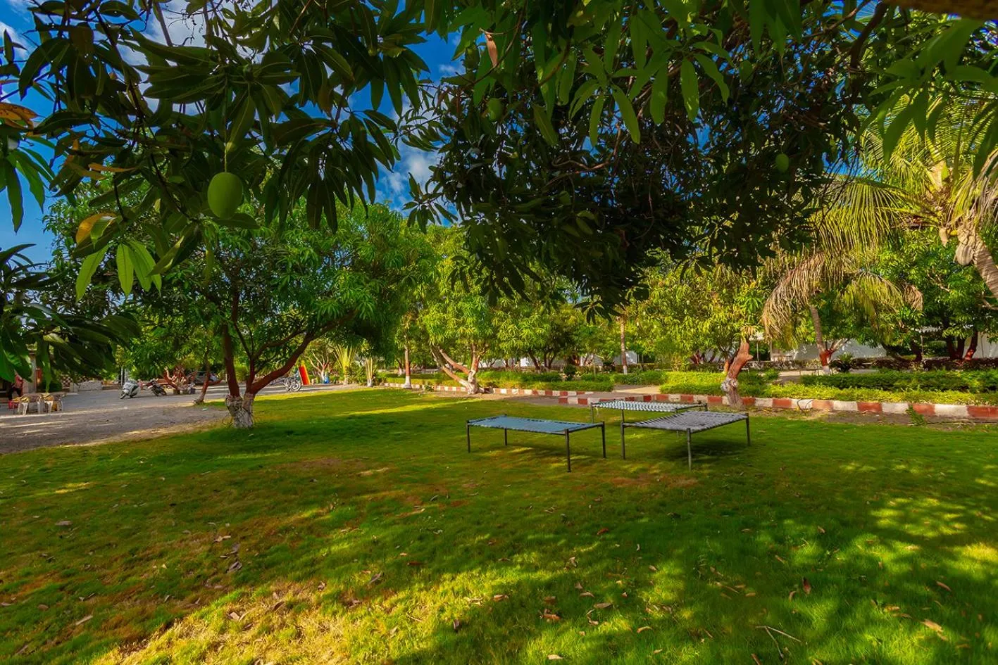 Natural landscape in Amber Resort