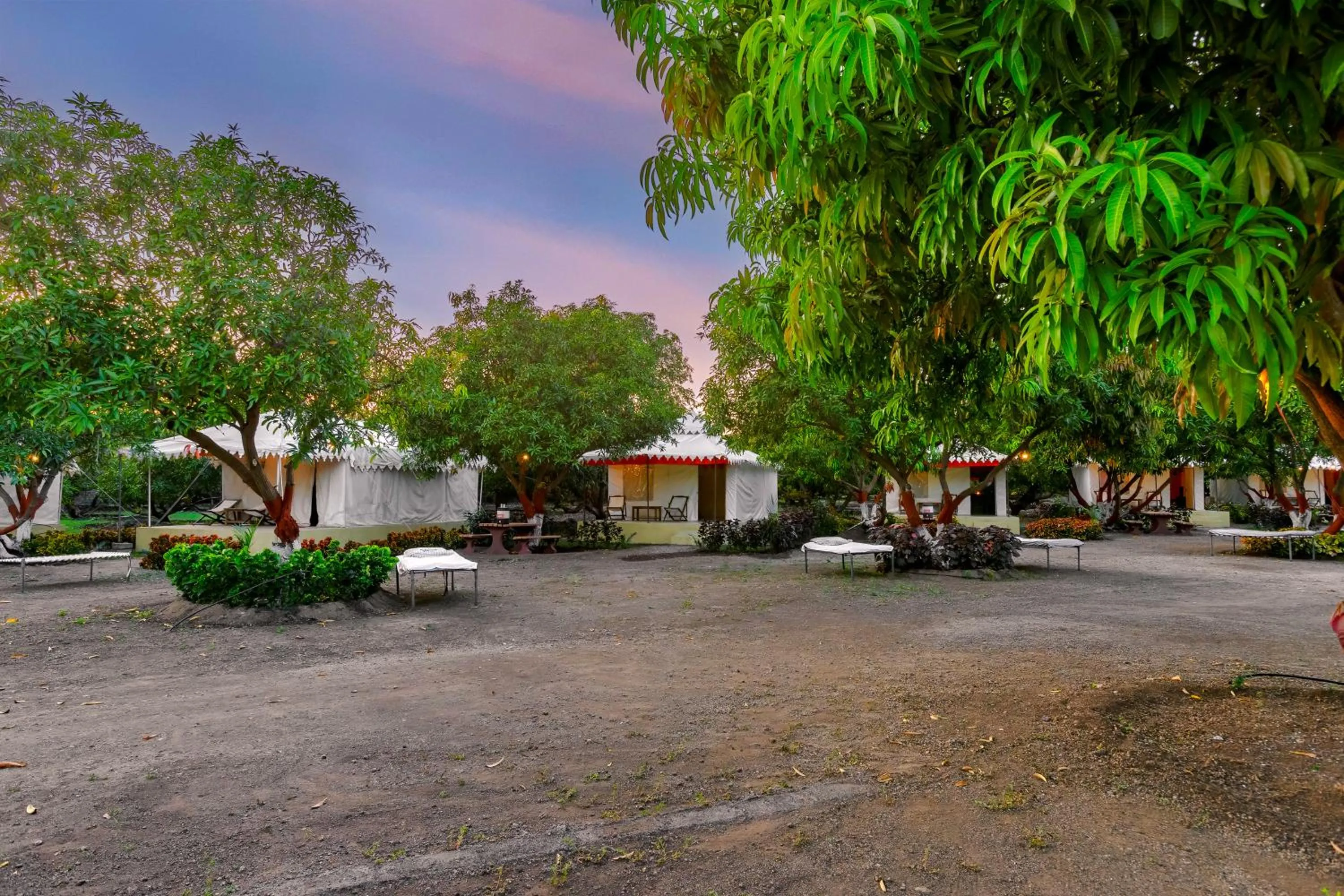 Spring in Amber Resort