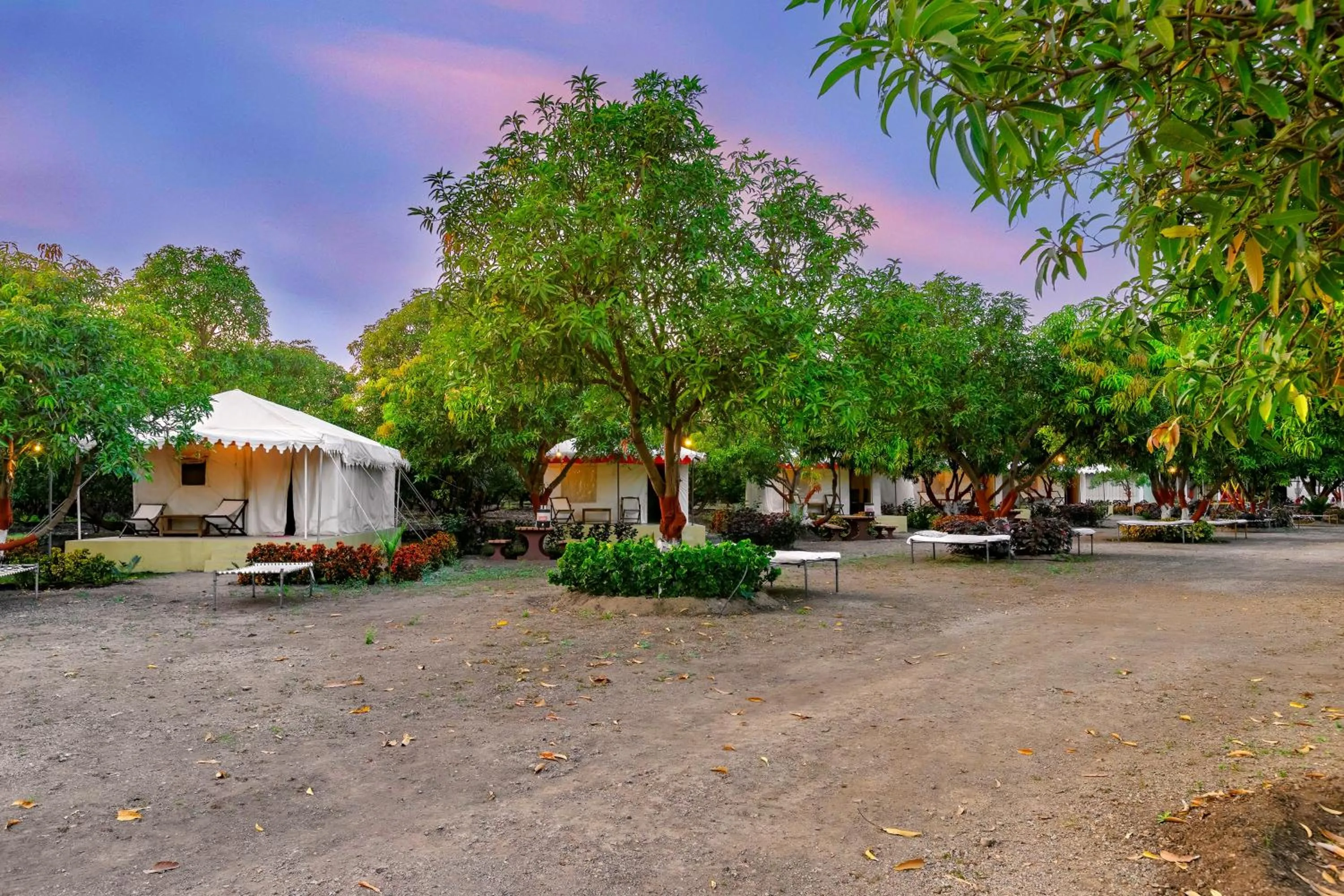 Natural landscape in Amber Resort