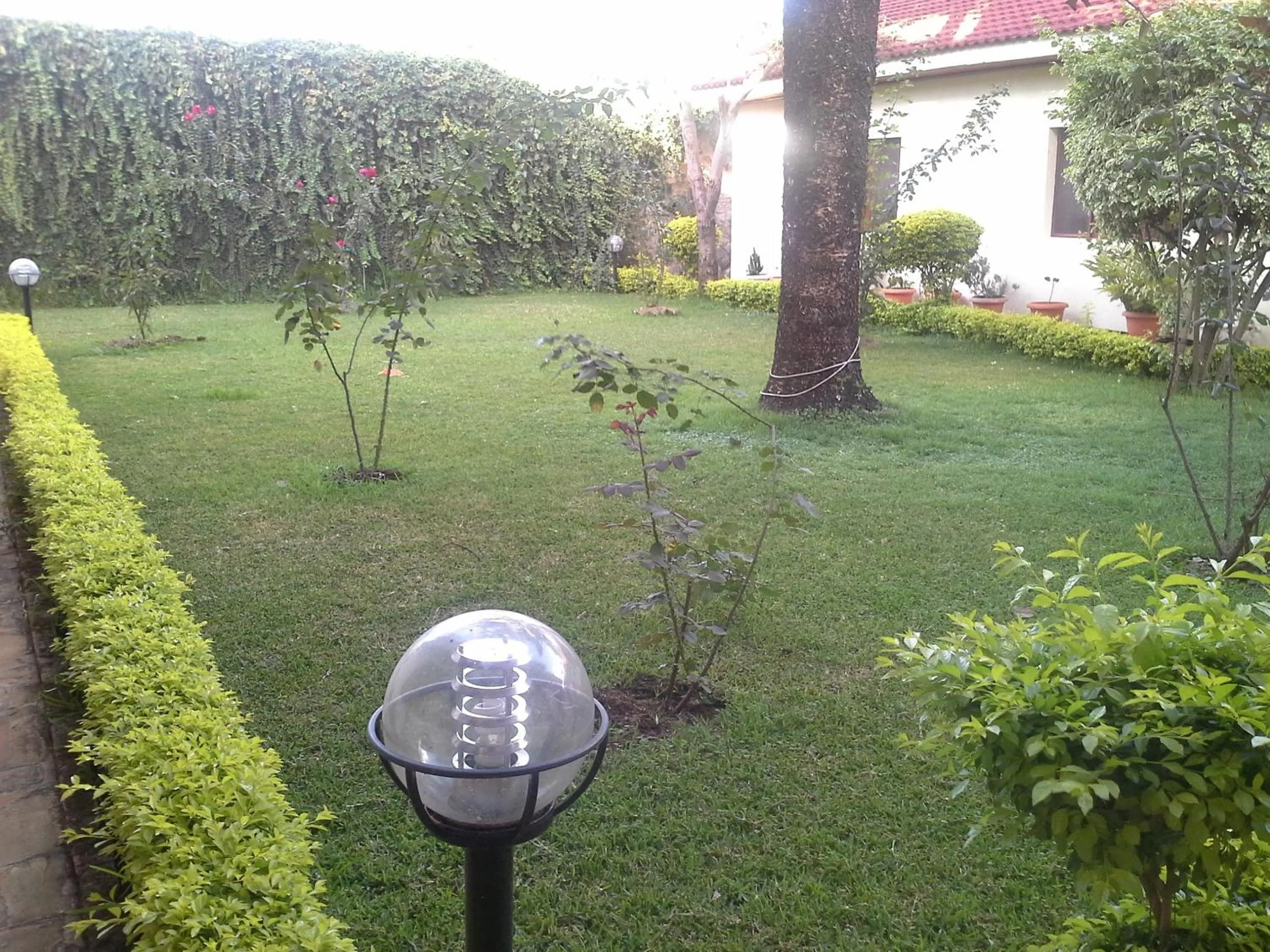Garden in The Milimani Lodge