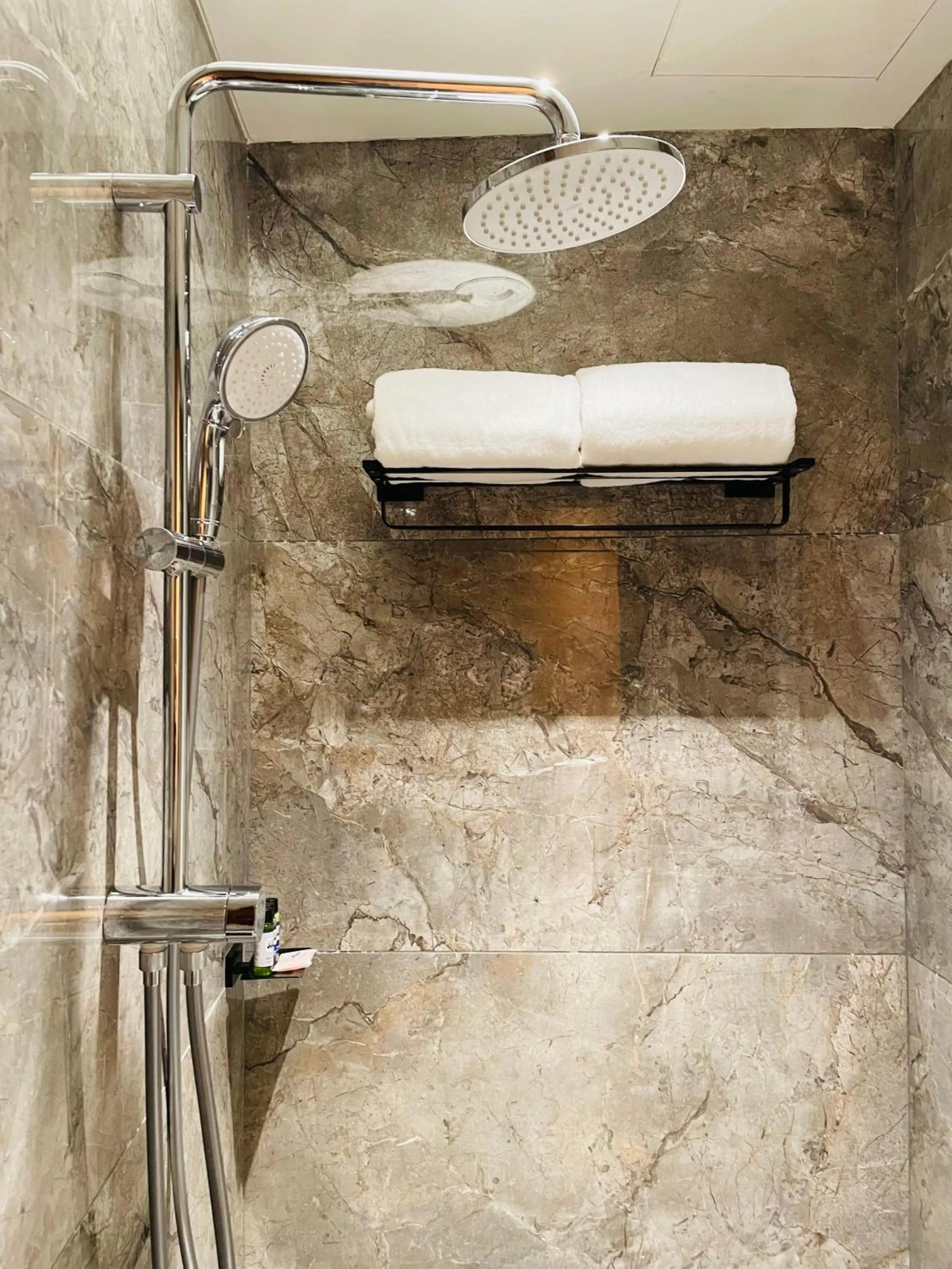 Shower in Regenta - The World Surat