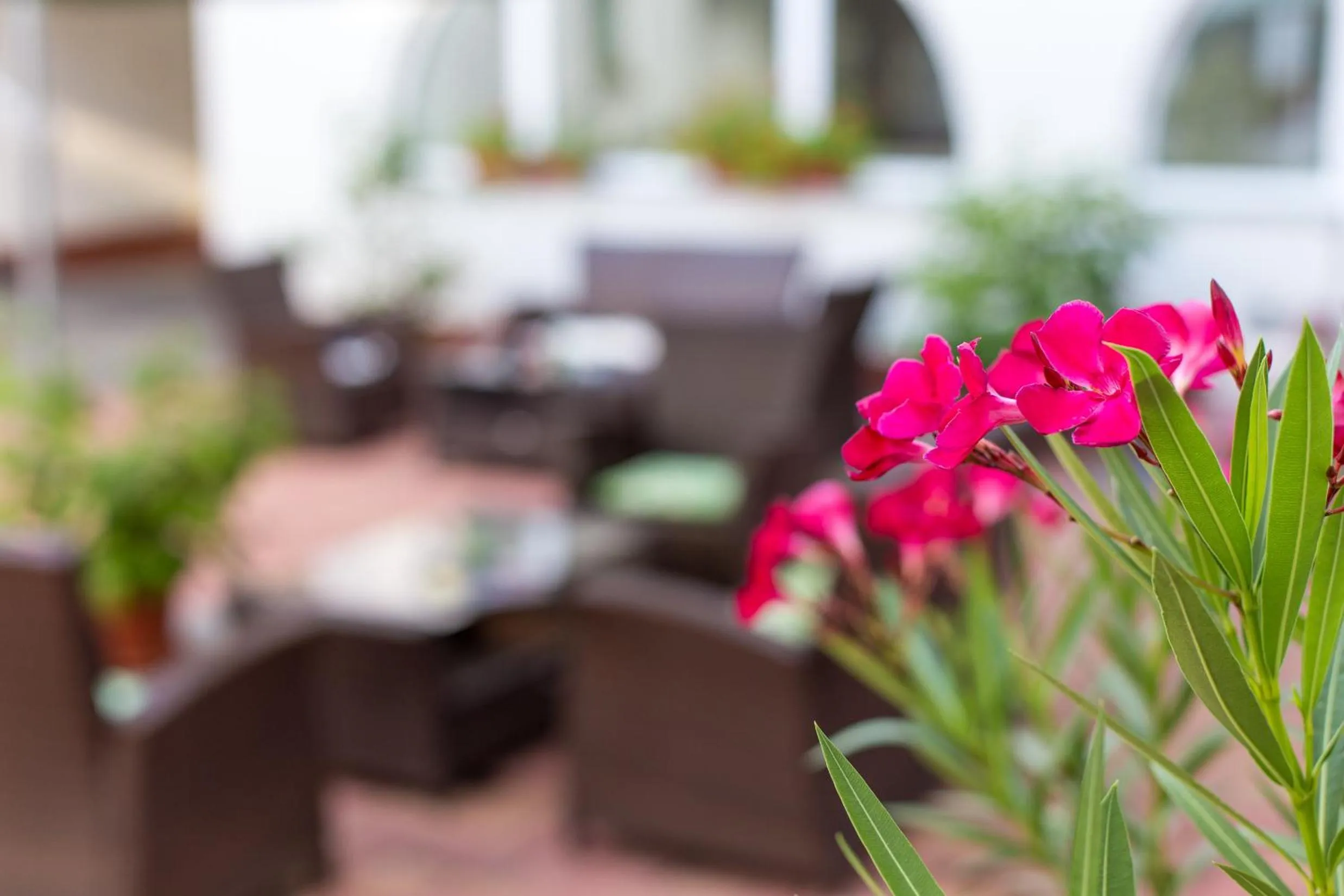 Balcony/Terrace in Tokajvár Hotel