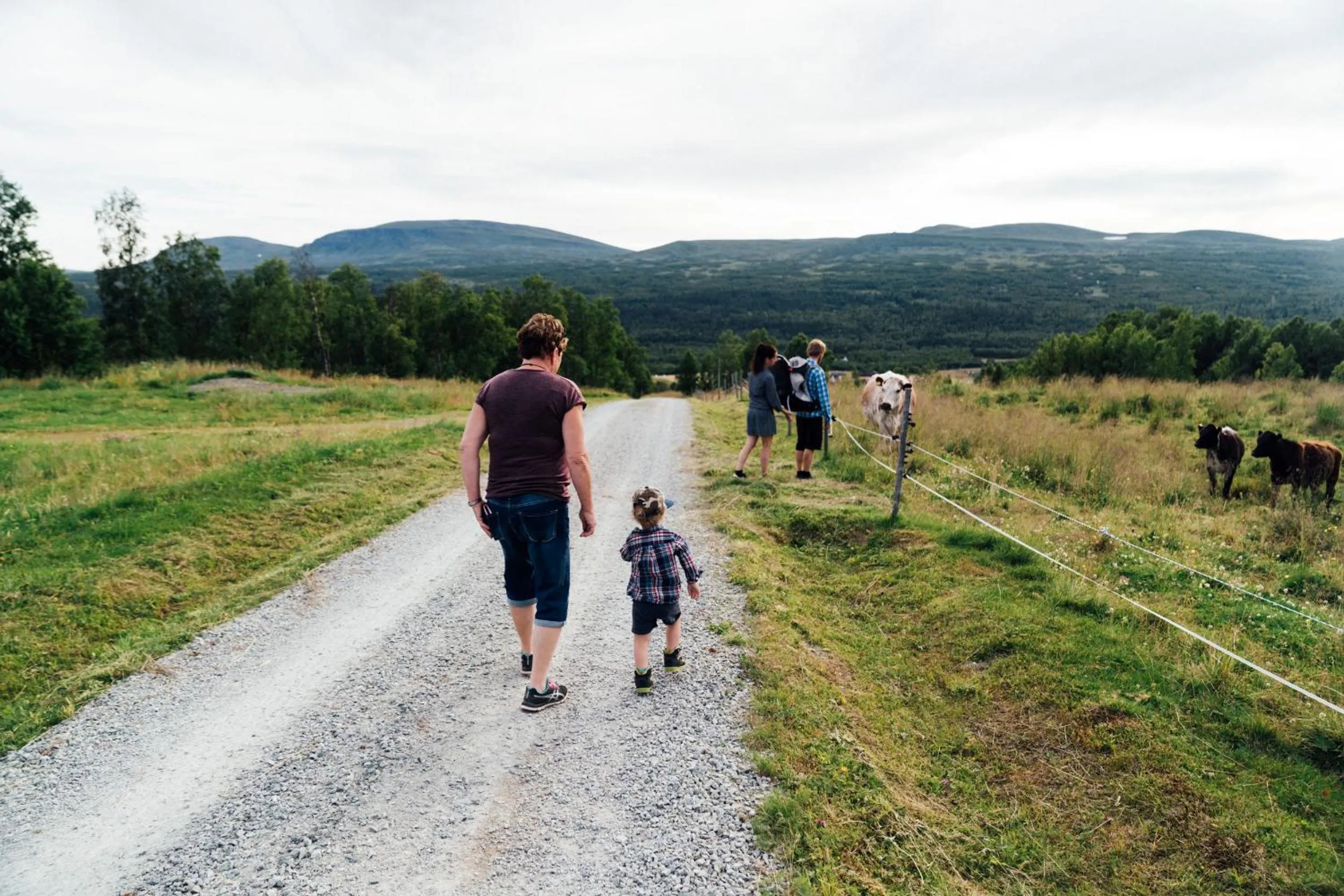 Natural landscape in Funäs Ski Lodge