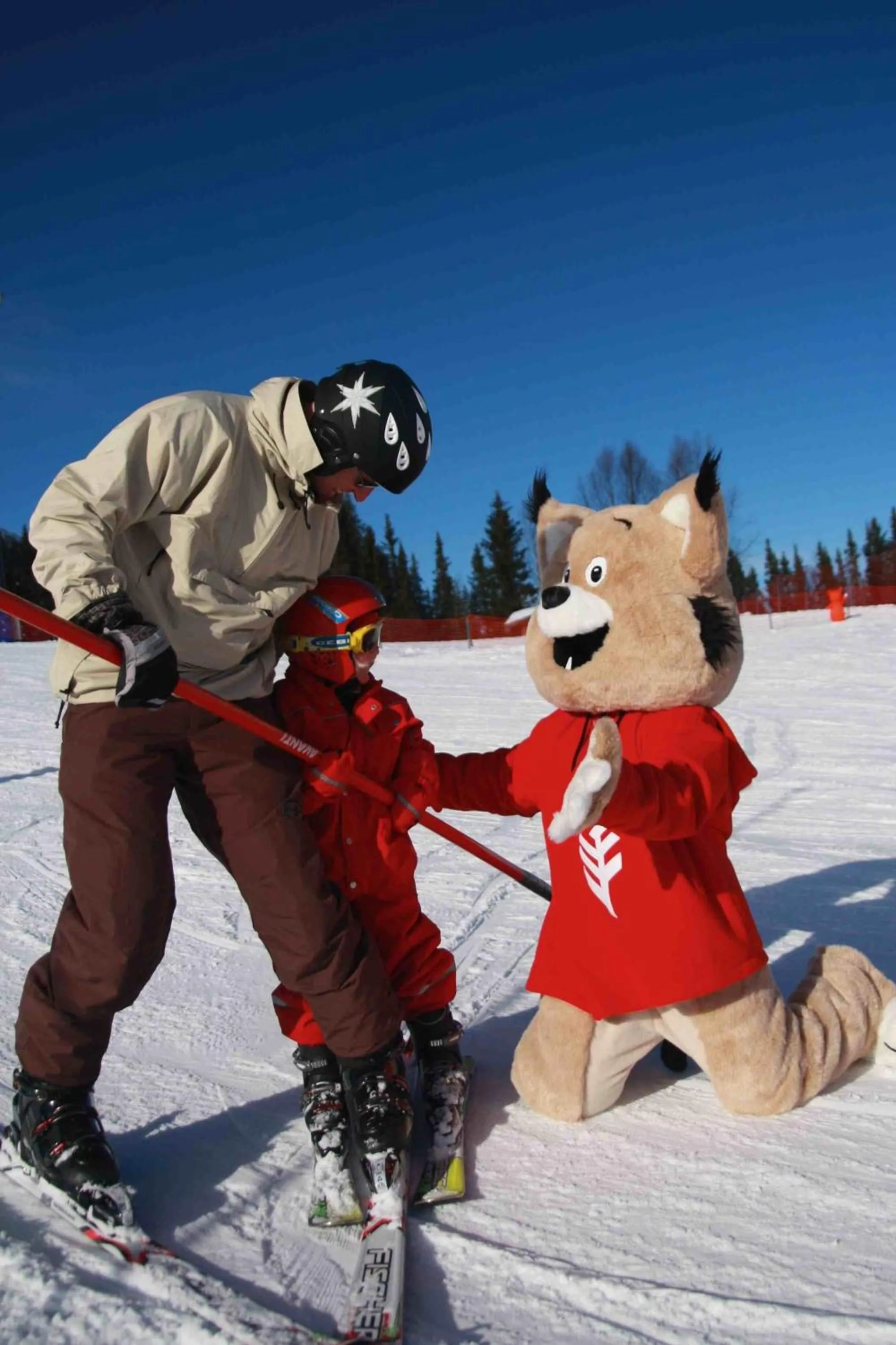 Winter in Funäs Ski Lodge