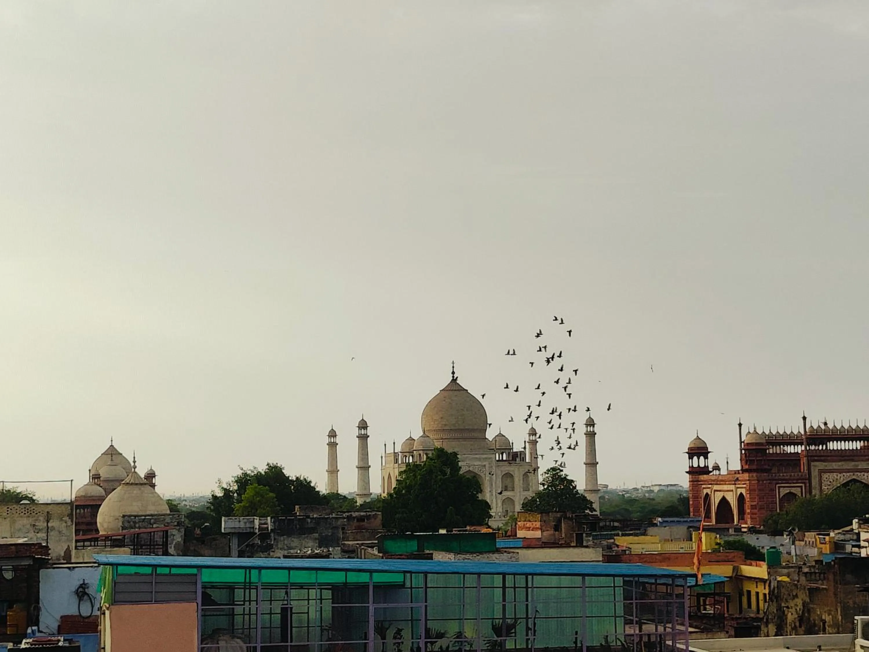 The Vacation Villa Agra A Boutique Hotel Near Taj Mahal