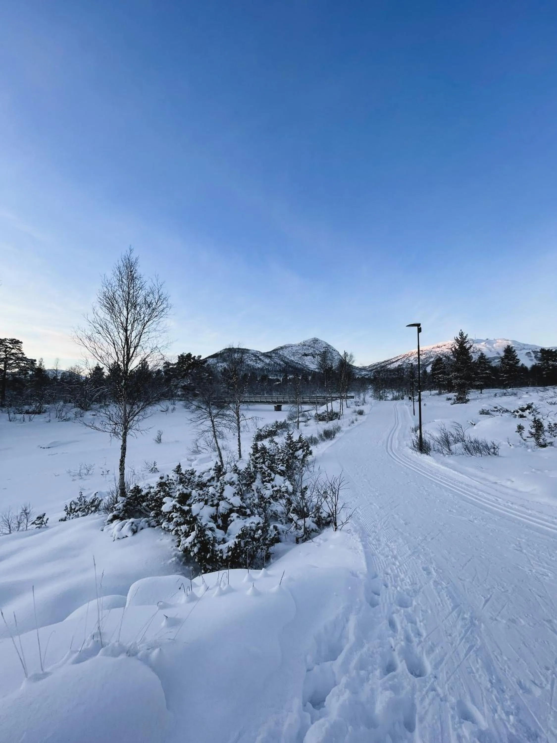 Natural landscape in Hovdestøylen Apartments