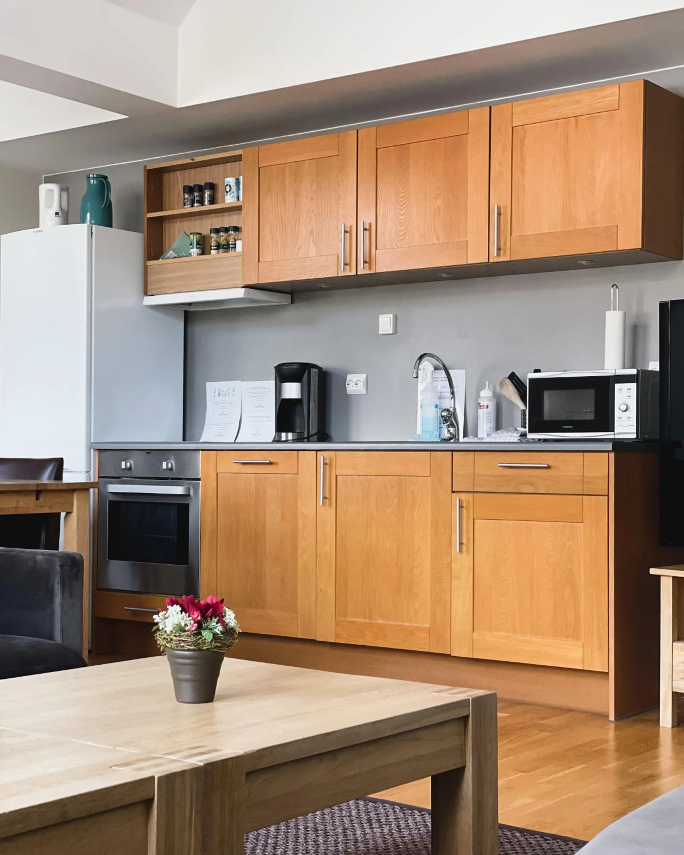 Kitchen or kitchenette in Hovdestøylen Apartments