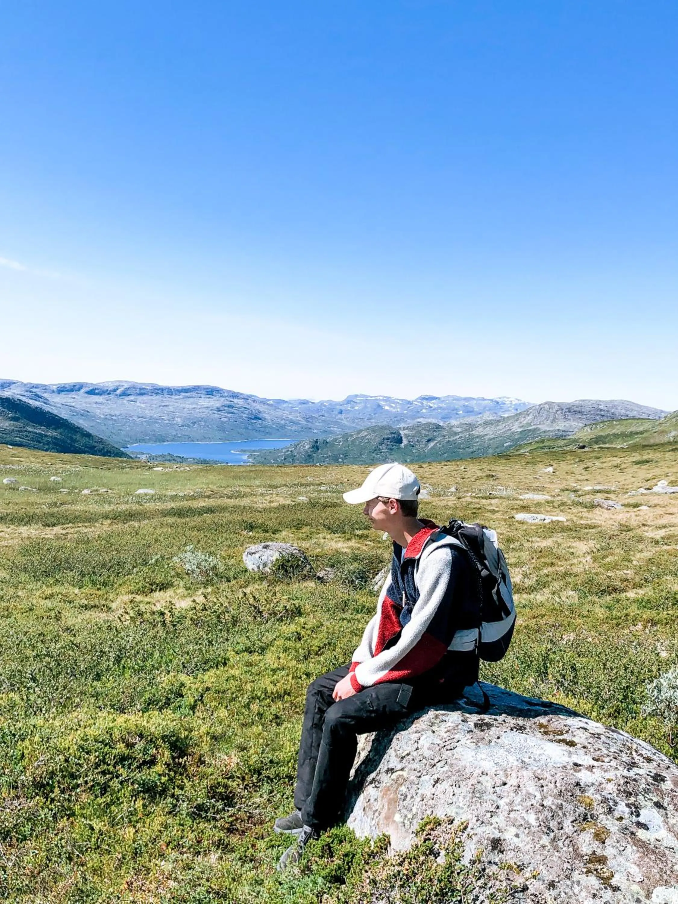 Natural landscape in Hovdestøylen Apartments