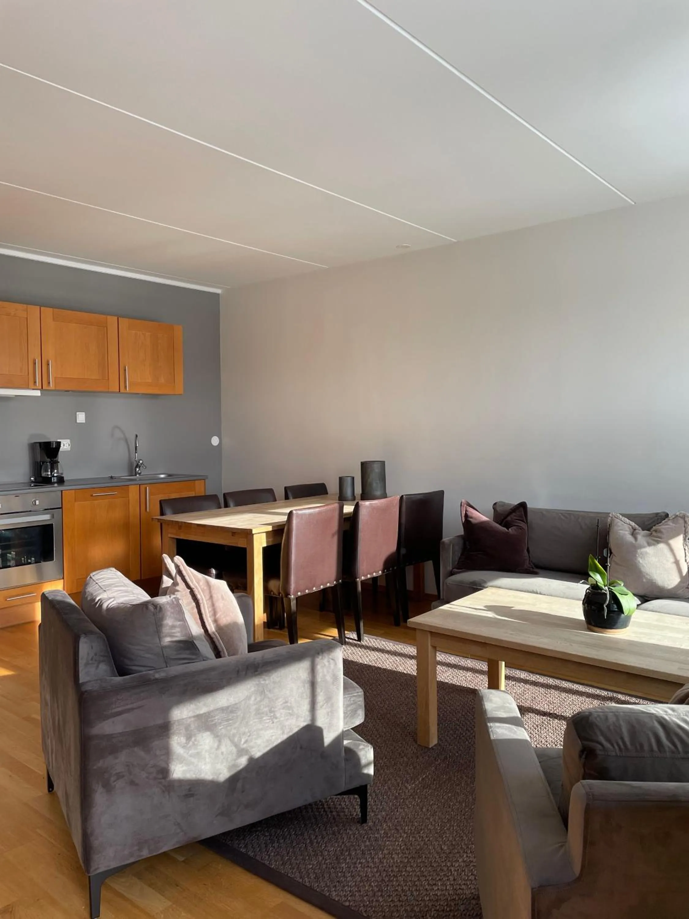 Kitchen or kitchenette in Hovdestøylen Apartments