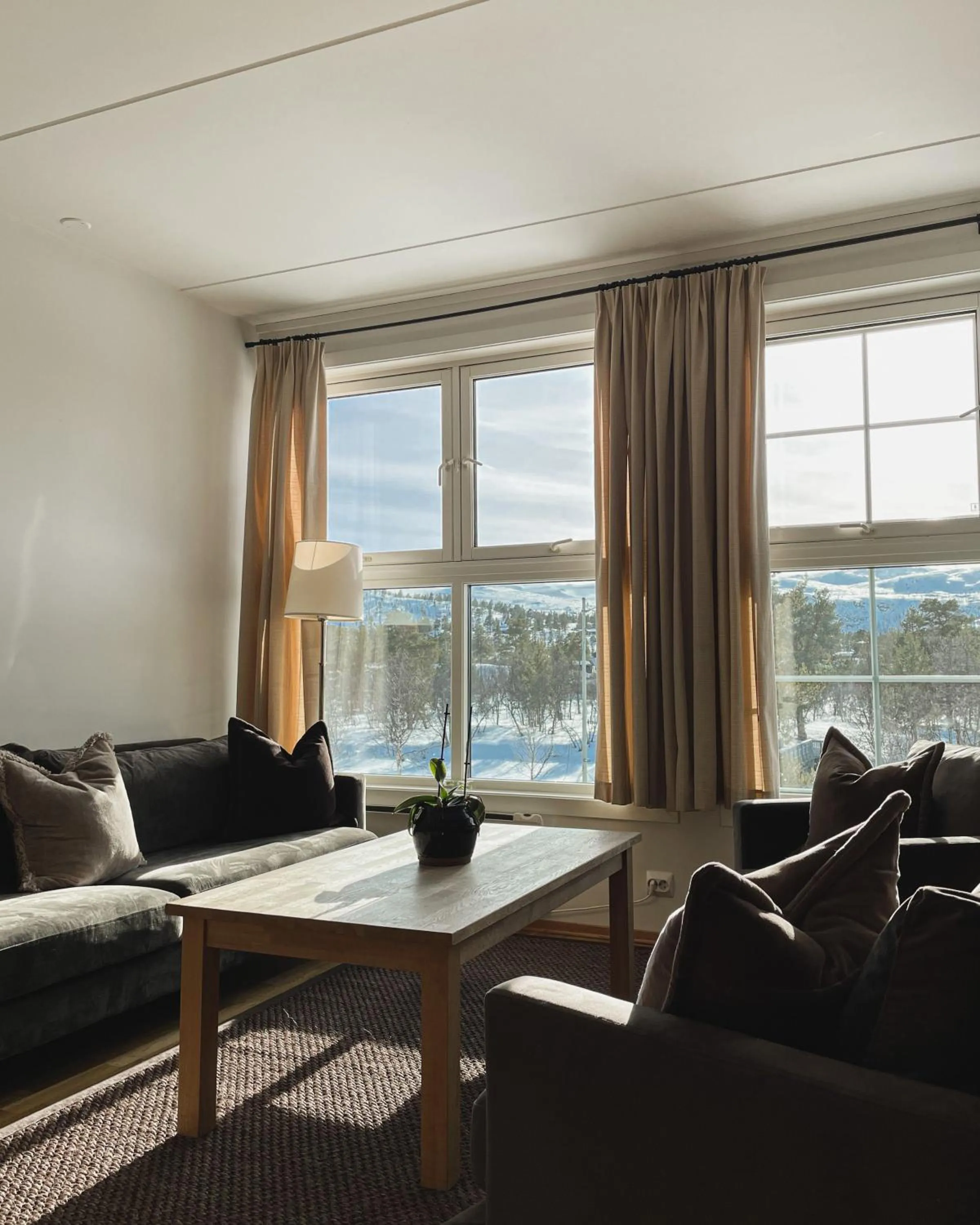 Living room in Hovdestøylen Apartments