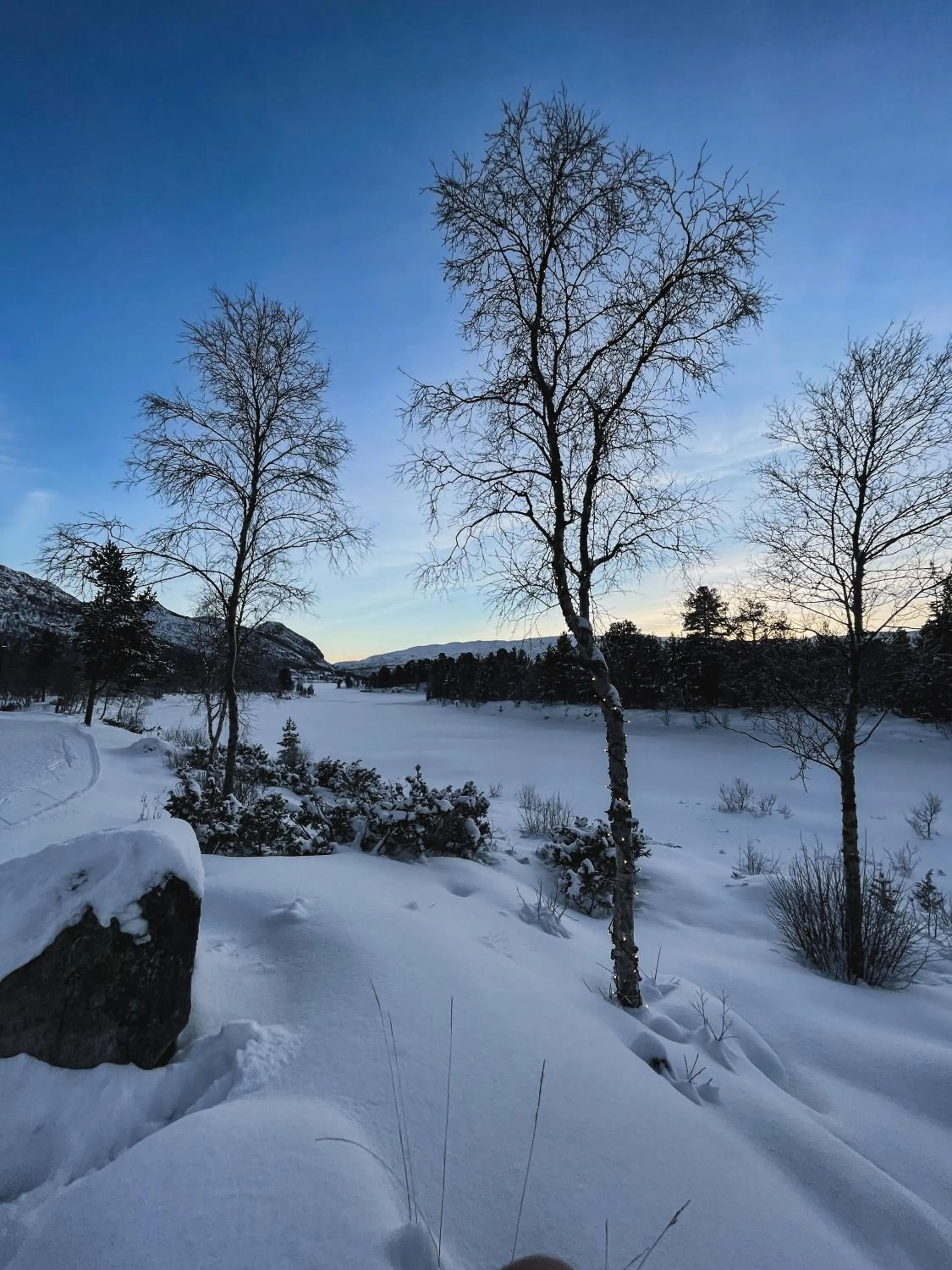 Natural landscape in Hovdestøylen Apartments