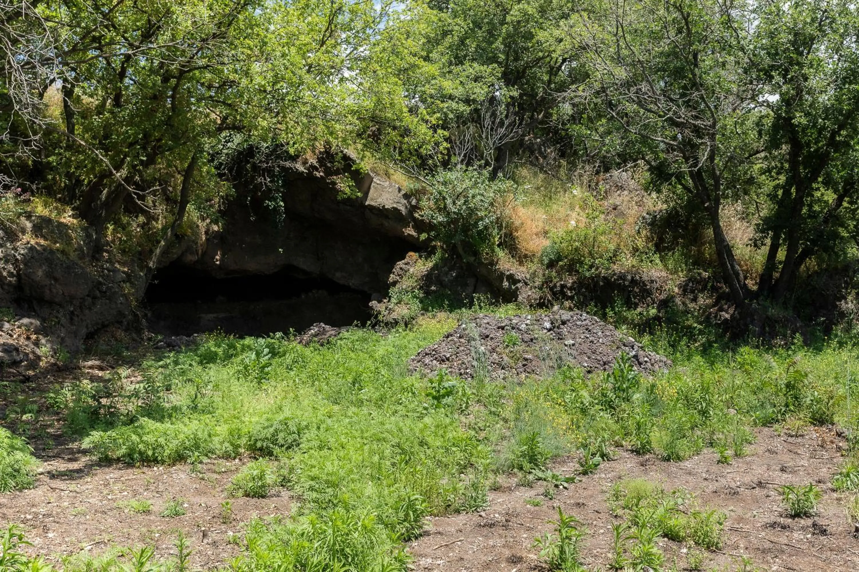 Garden in PODERE DELL'ETNA SEGRETA - Essential Nature Hotel & Glamping