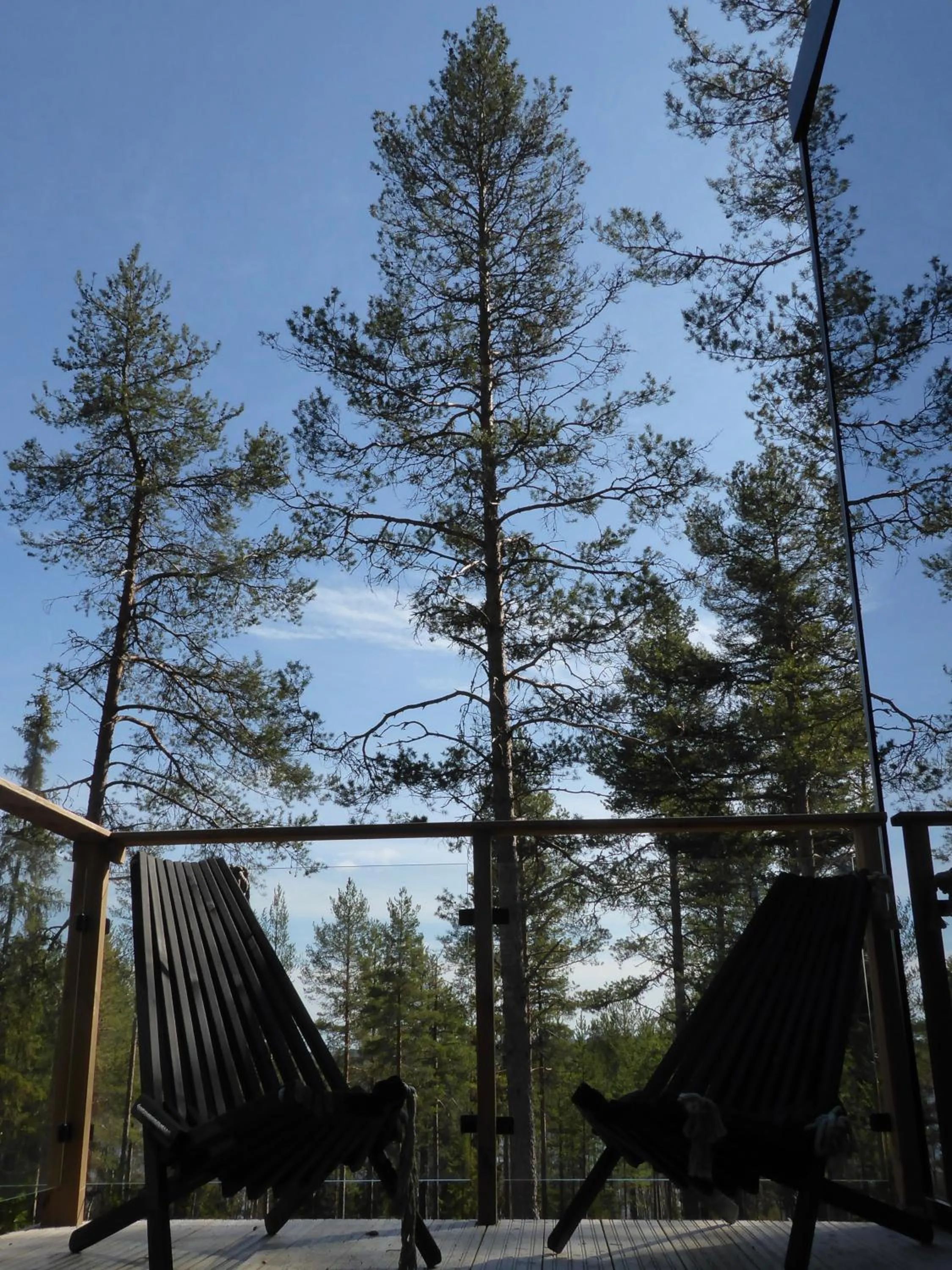 Natural landscape in Adults Only Invisible Forest Lodge & SPA