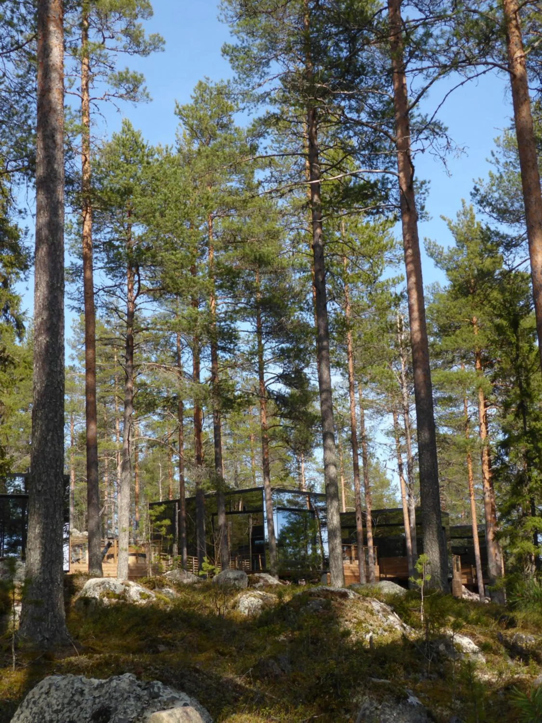 Natural landscape in Adults Only Invisible Forest Lodge & SPA