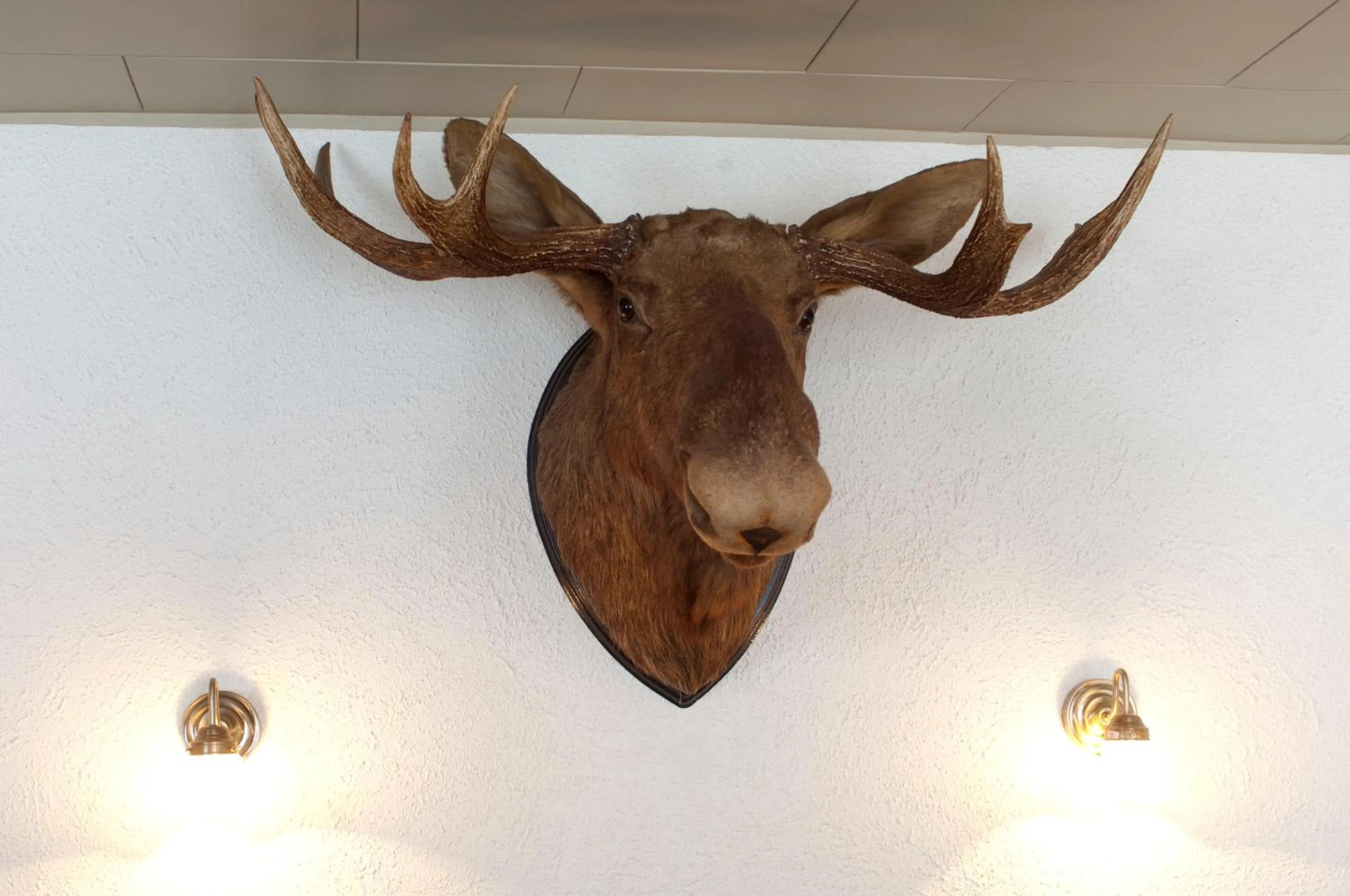 On site in Purhus Kro