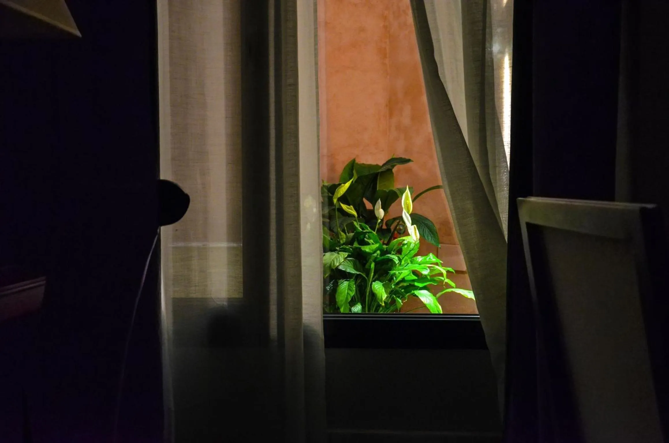 Patio in Aguilas5 SevillaSuites