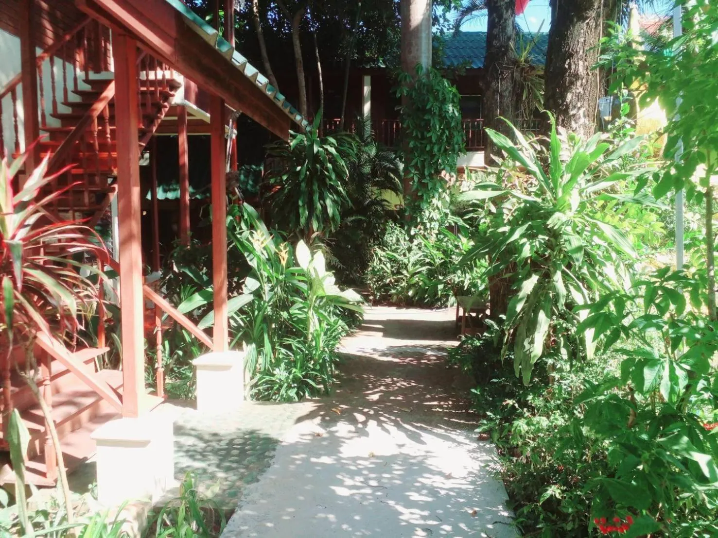 Garden in Golden Triangle Palace Hotel