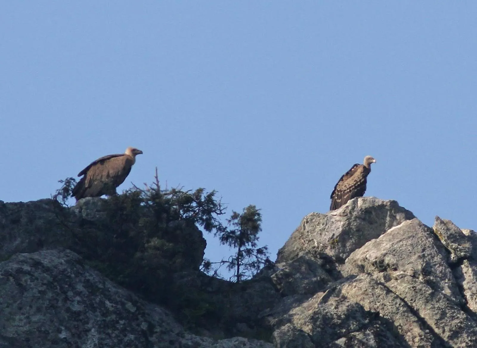 Area and facilities in Vilaportuguesa