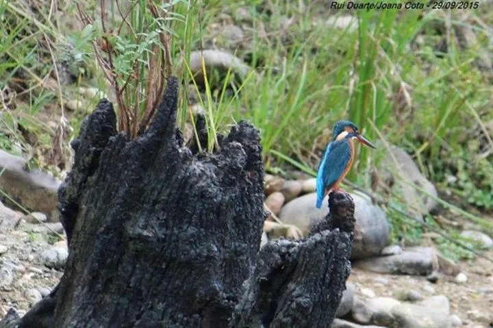 Off site in Vilaportuguesa