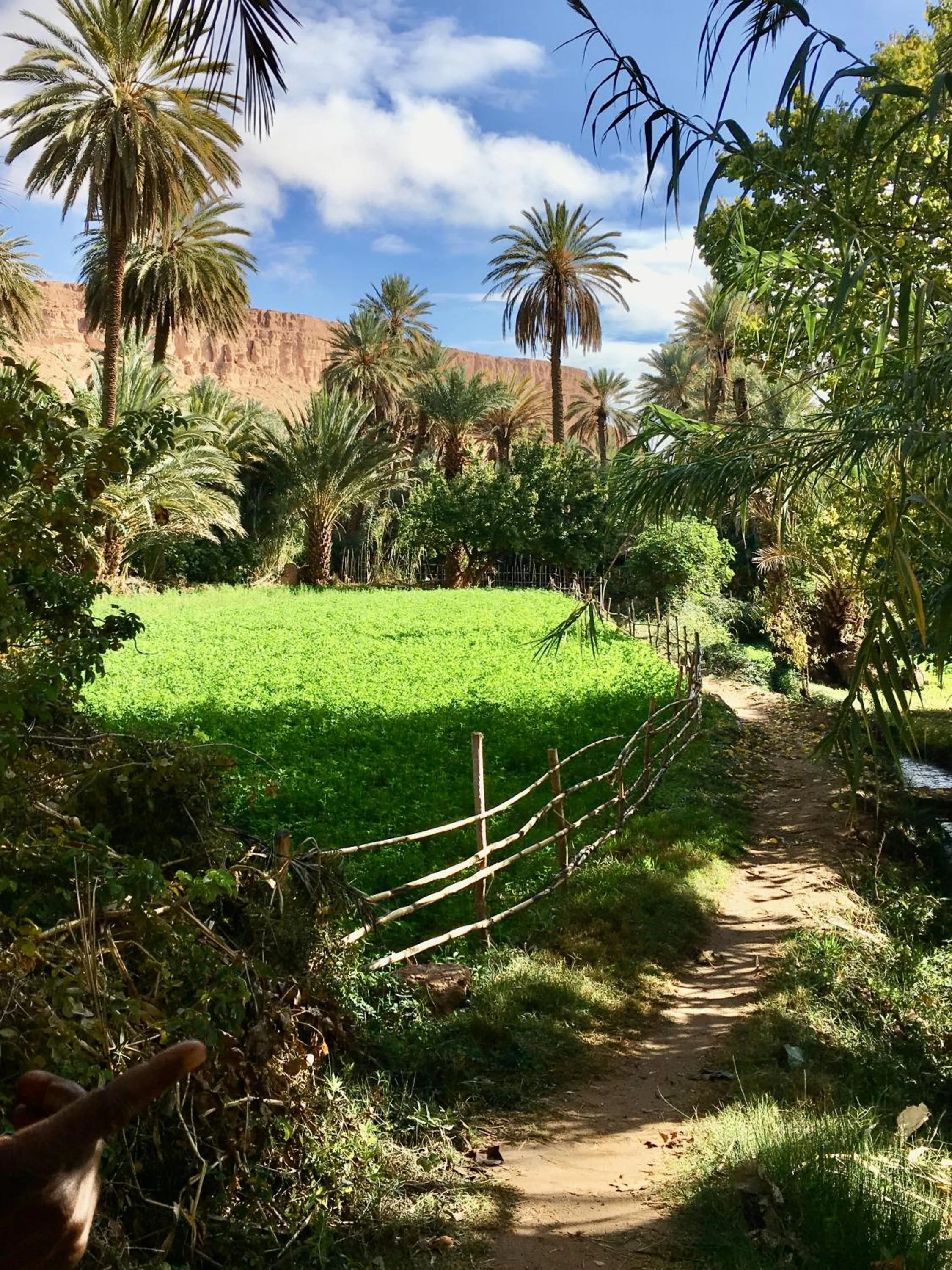 Natural landscape in La Petite Gorge, Hôtel & Restaurant Todra Gorge