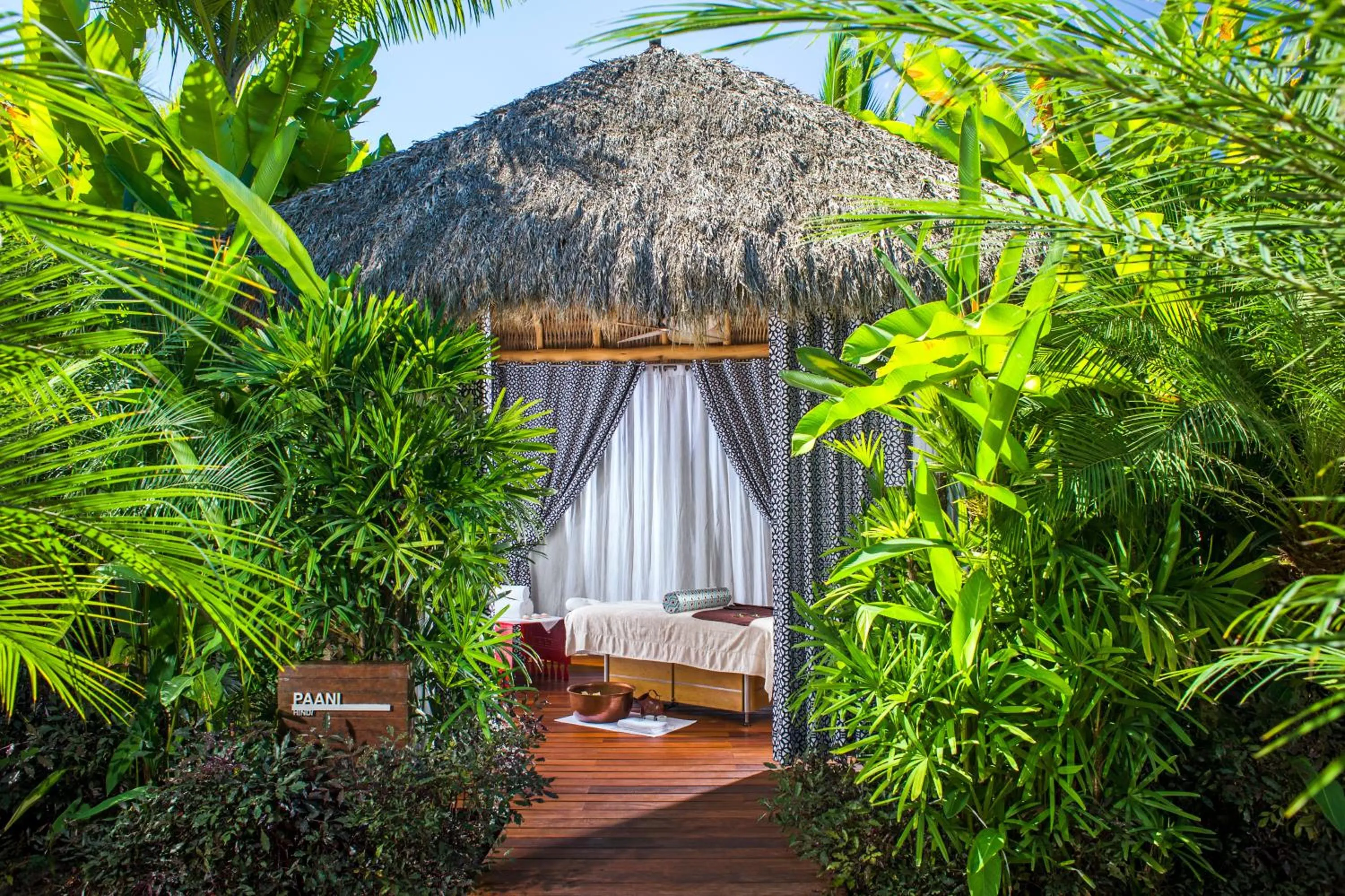 Natural landscape in BON Hotel at VidantaWorld Nuevo Vallarta