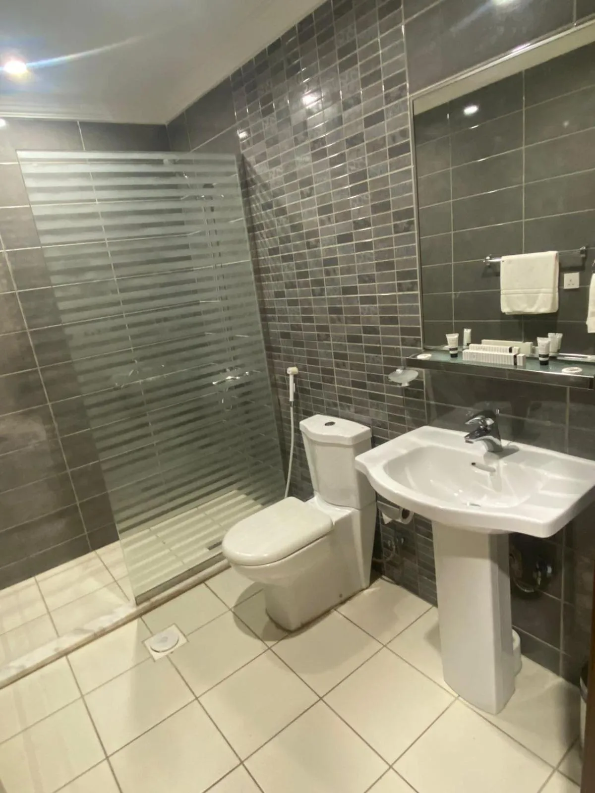 Toilet in جلنار الشرق للشقق المخدومة