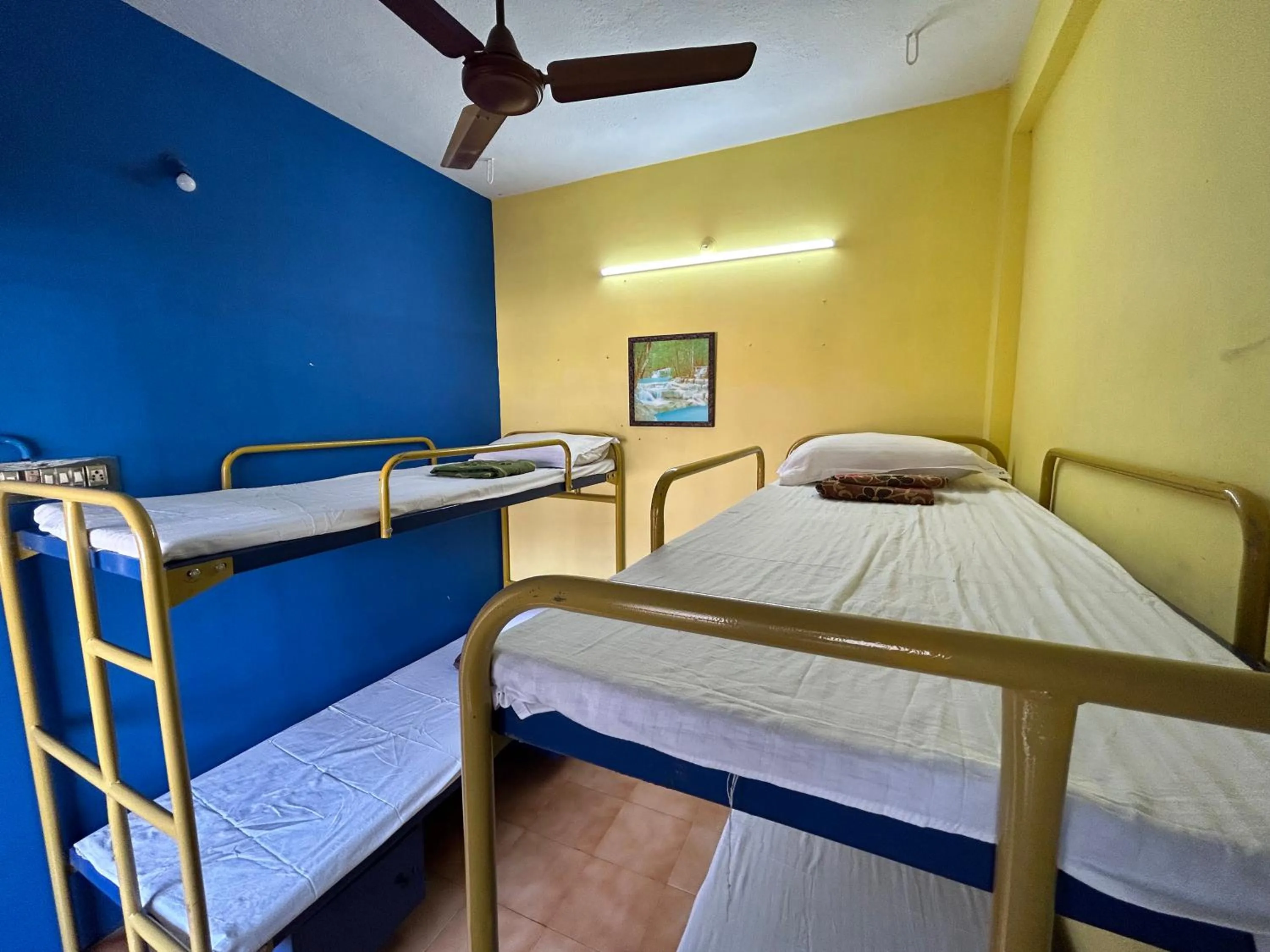 bunk bed, Bed in The Kaya Backpackers Rooms Srirangam
