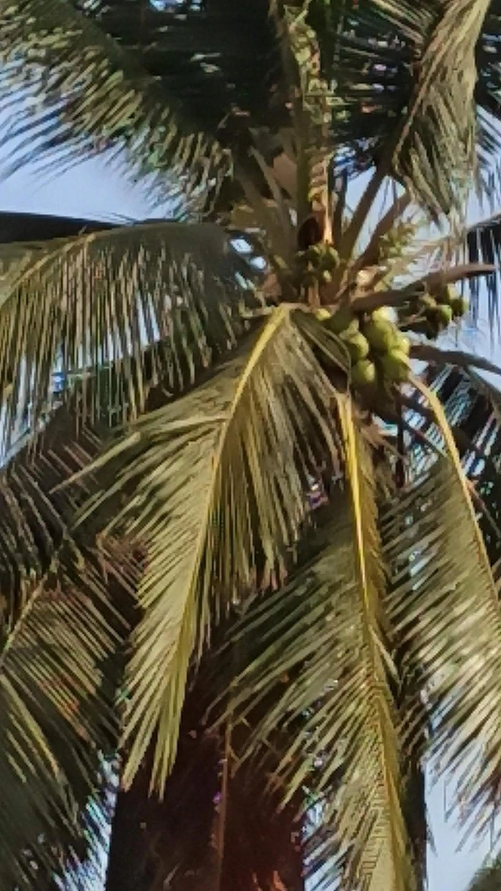 QUINTA DIAMANTE villas&hotel