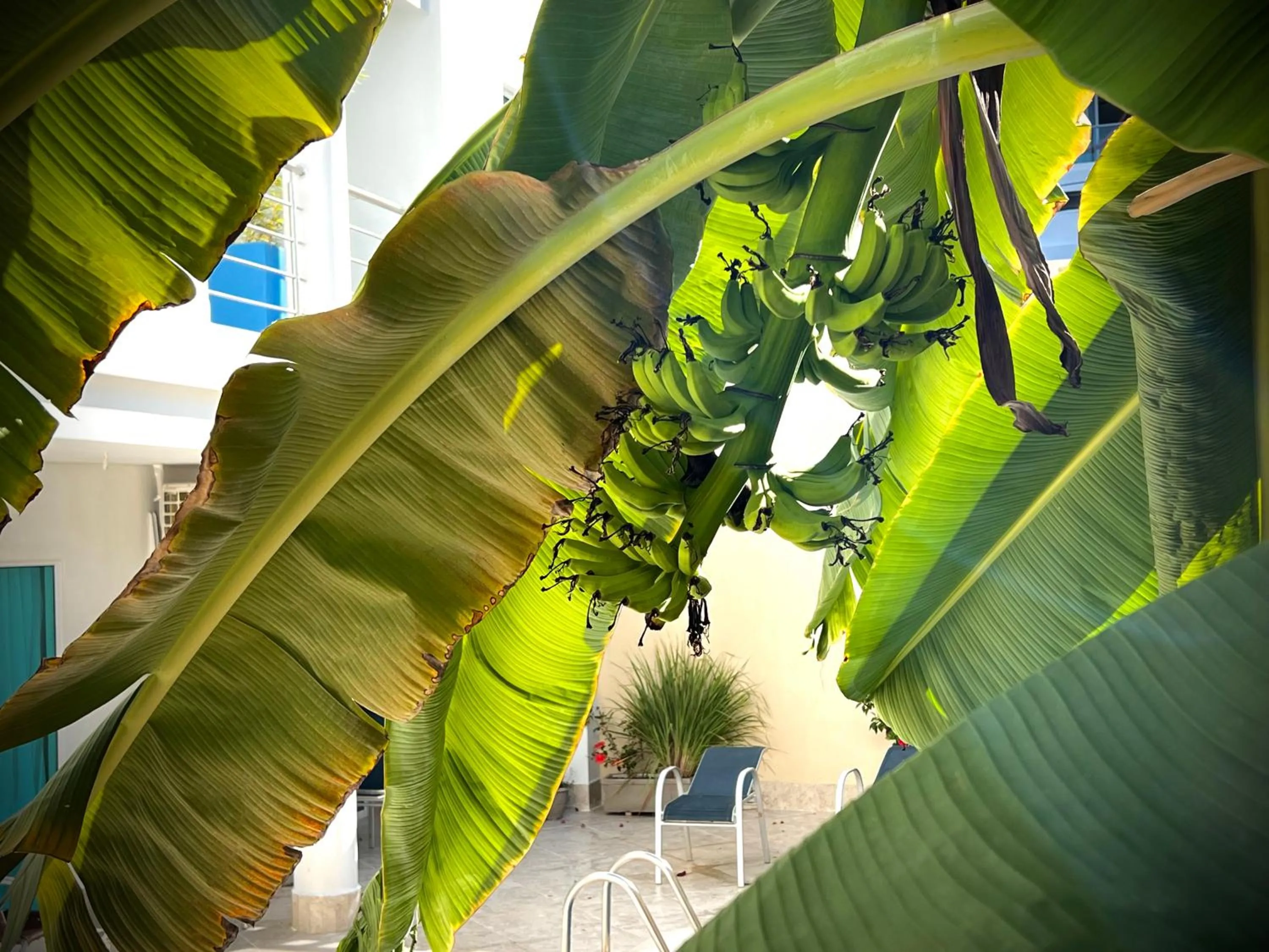 Garden in Charme 64 Hotel Boutique