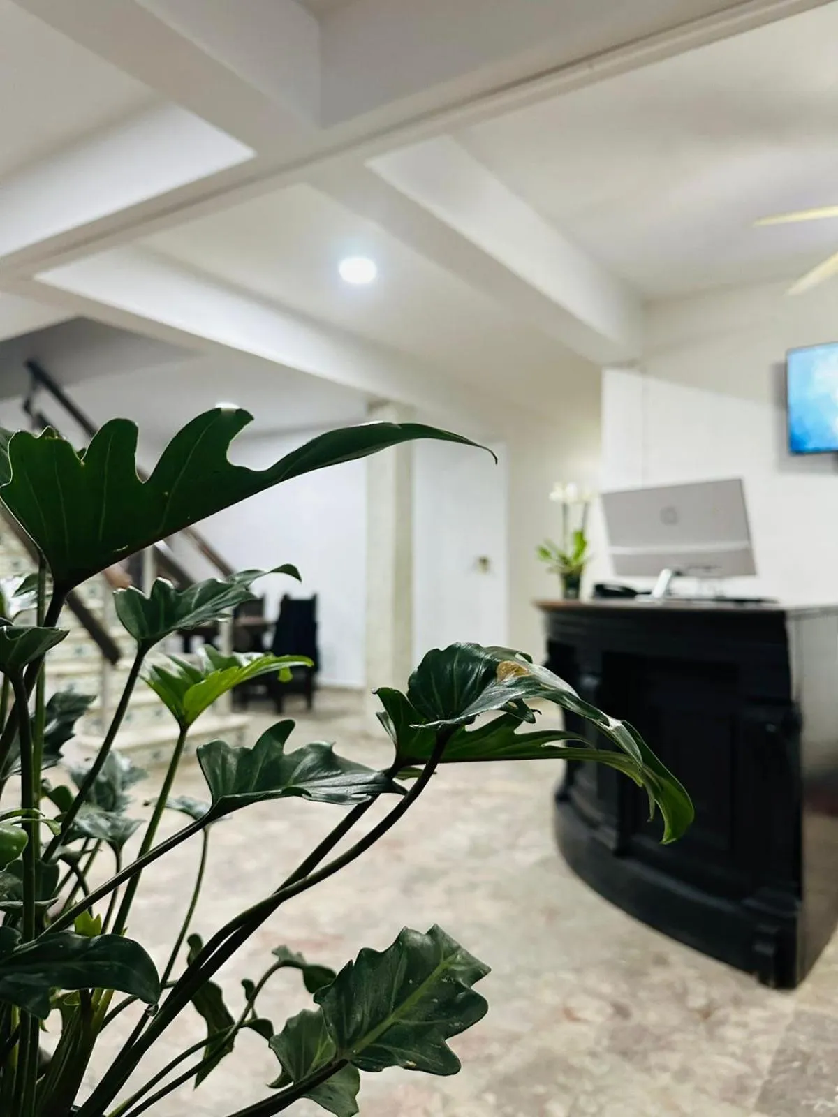 Lobby or reception in Hotel Santa Barbara