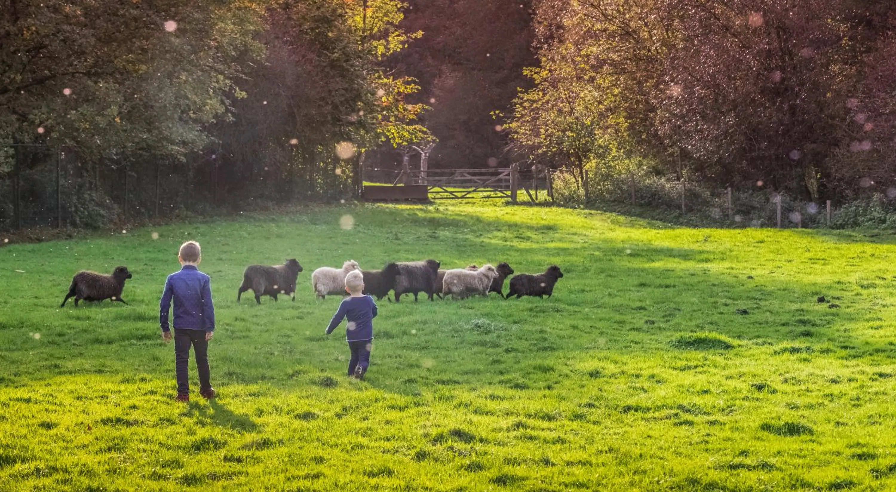 Animals in Van der Valk Hotel Heerlen
